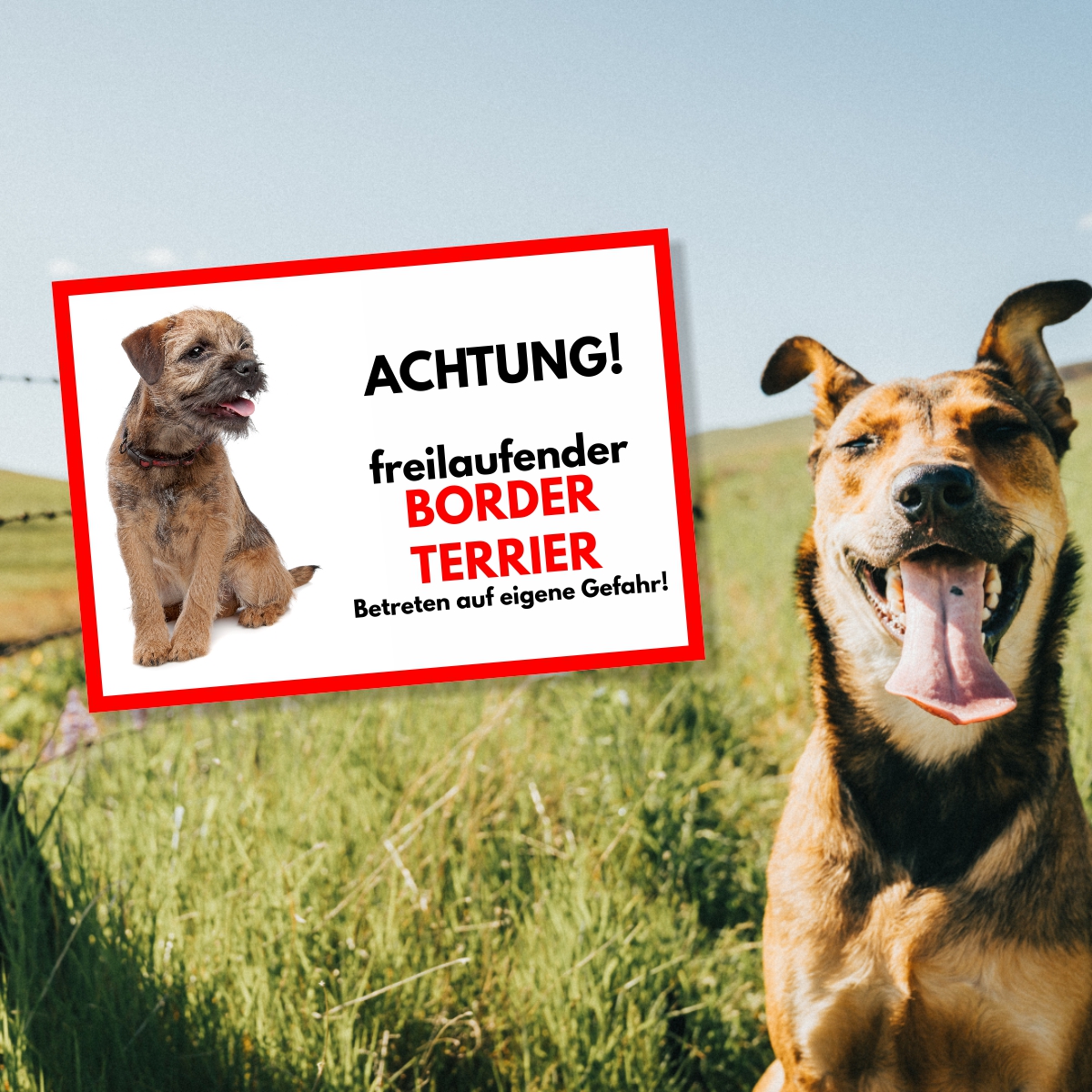 Border Terrier Freilaufender Hund Dog Schild Spruch Türschild Hundeschild Warnschild