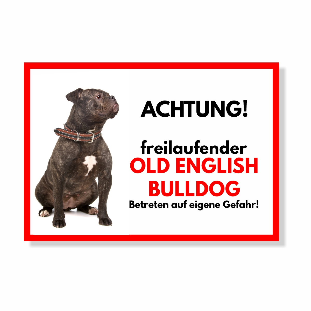 Old English Bulldog 2 Freilaufender Hund Dog Schild Spruch Türschild Hundeschild Warnschild