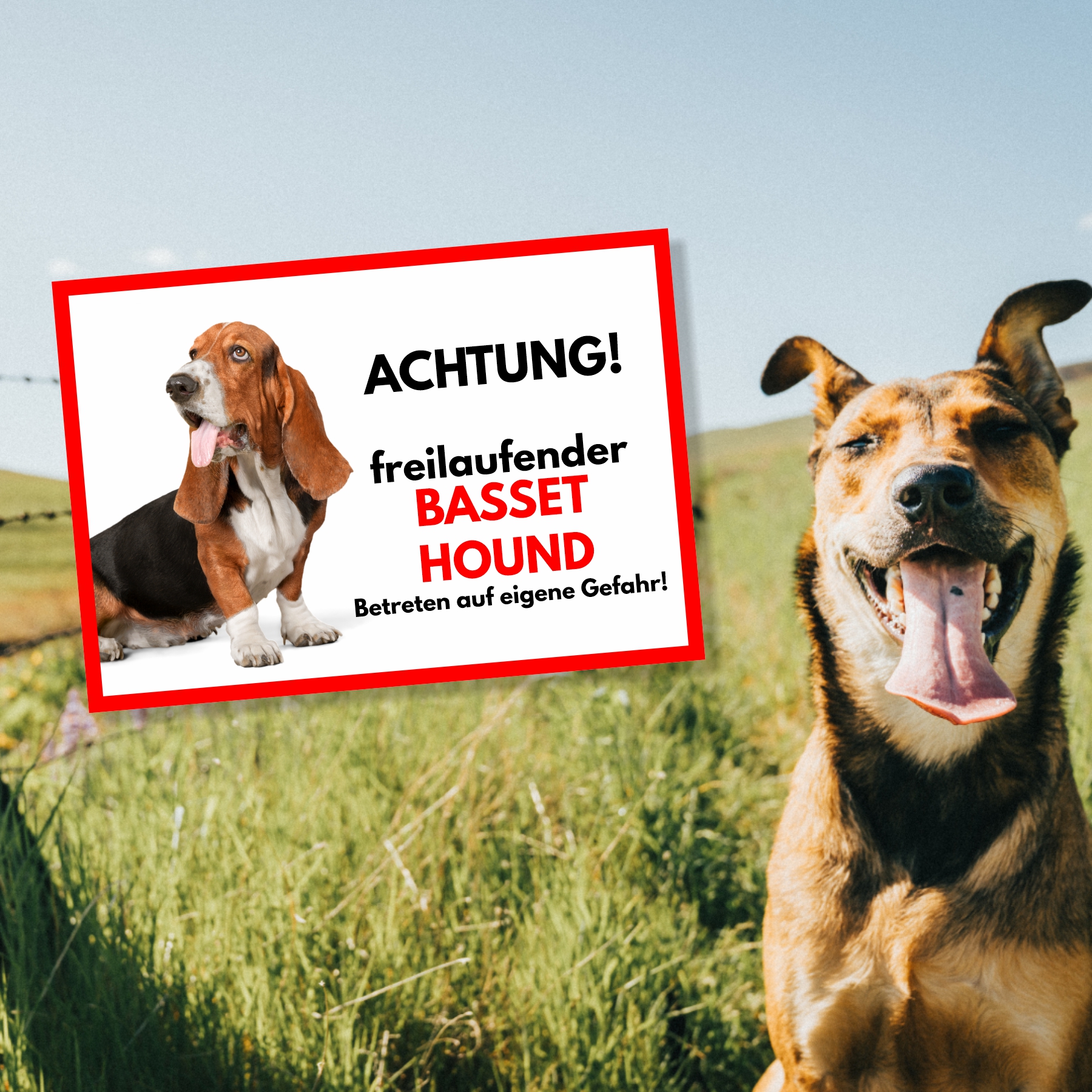 Basset Hound Freilaufender Hund Dog Schild Spruch Türschild Hundeschild Warnschild