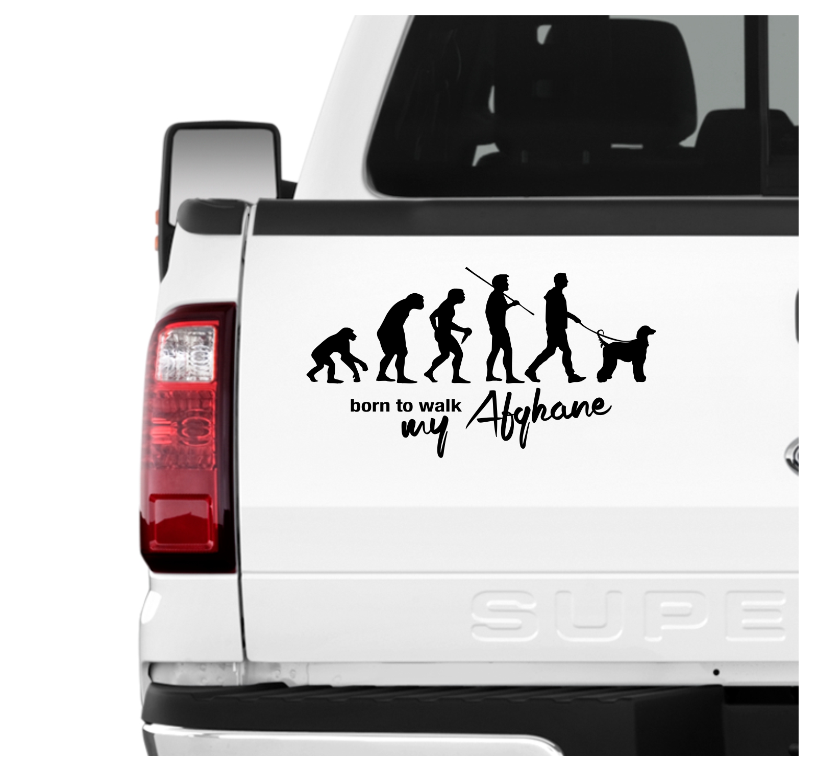 Afghane Afghanischer Windhund Evolution Autoaufkleber Hund Aufkleber Folie