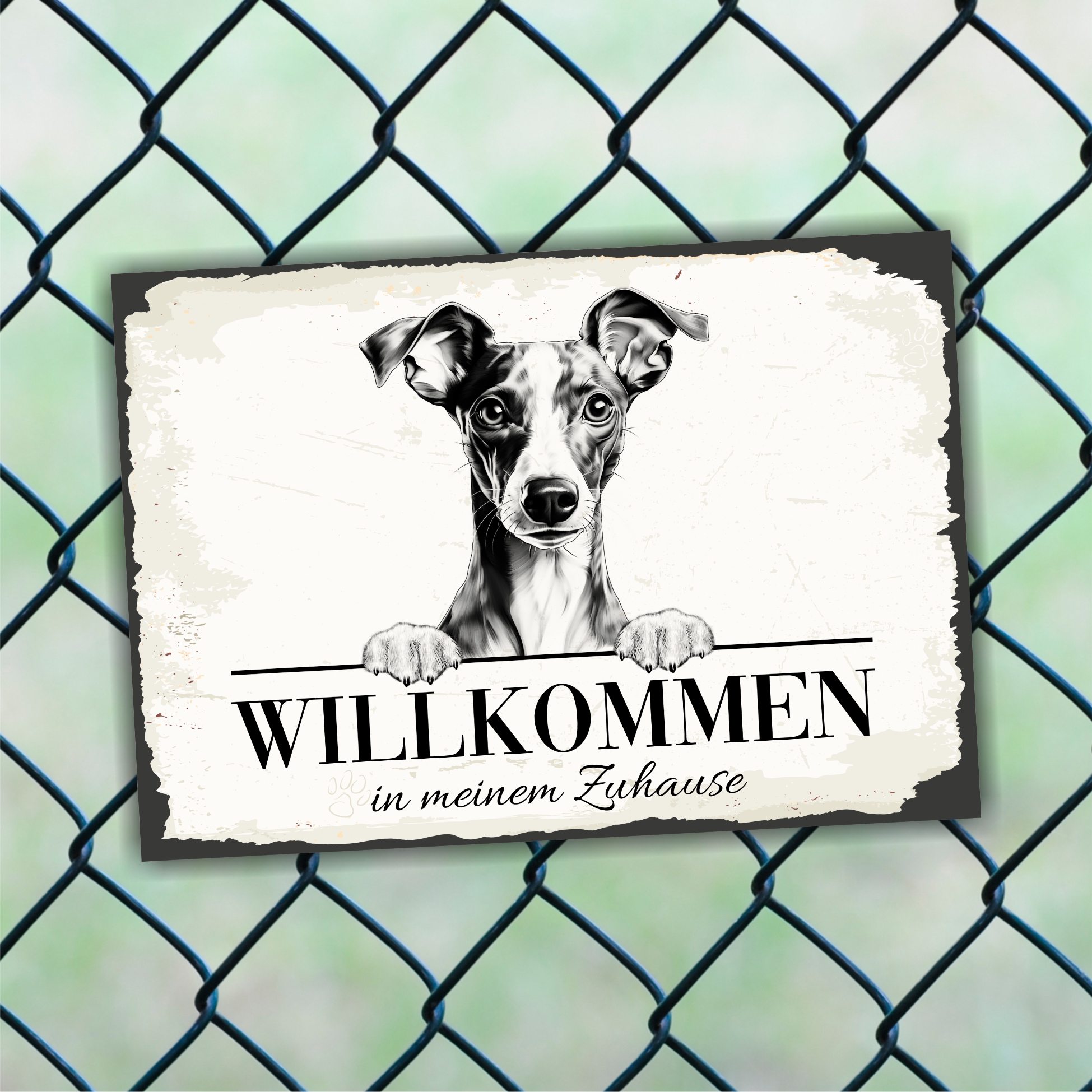 Hundeschild Willkommen Zuhause Italienisches Windspiel Schild
