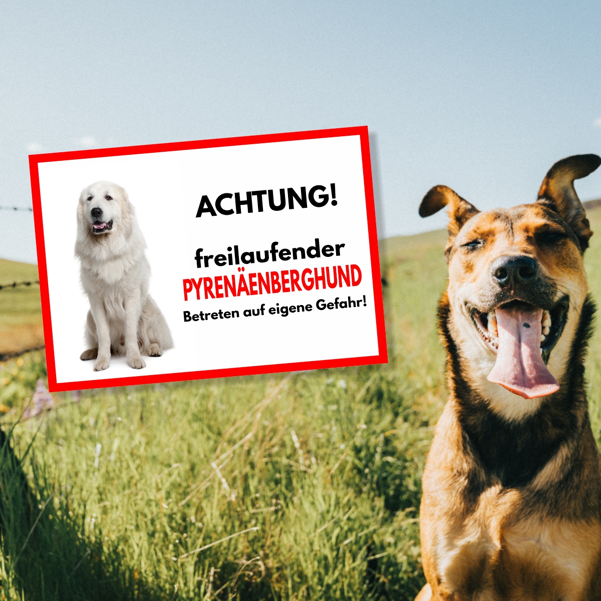 Pyrenäenberghund Freilaufender Hund Dog Schild Spruch Türschild Hundeschild Warnschild