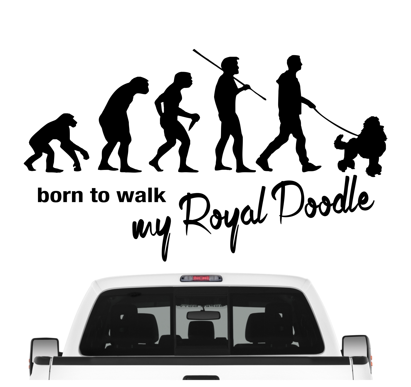 Royal Poodle Pudel Pudle Caniche Barbone Evolution Auto Aufkleber Hund Folie