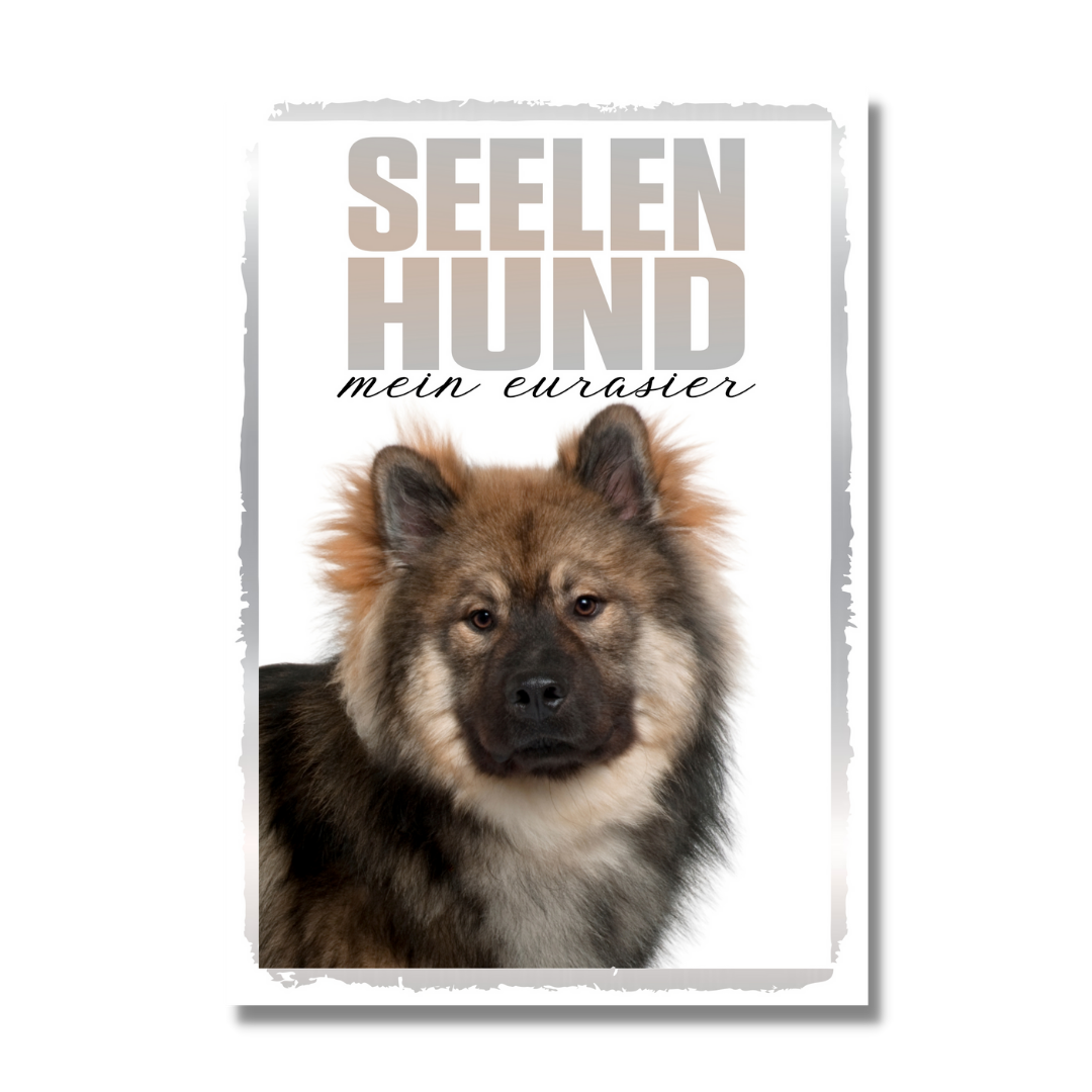 Eurasier Seelenhund Dog Schild Spruch Türschild Hundeschild Warnschild Soulmate