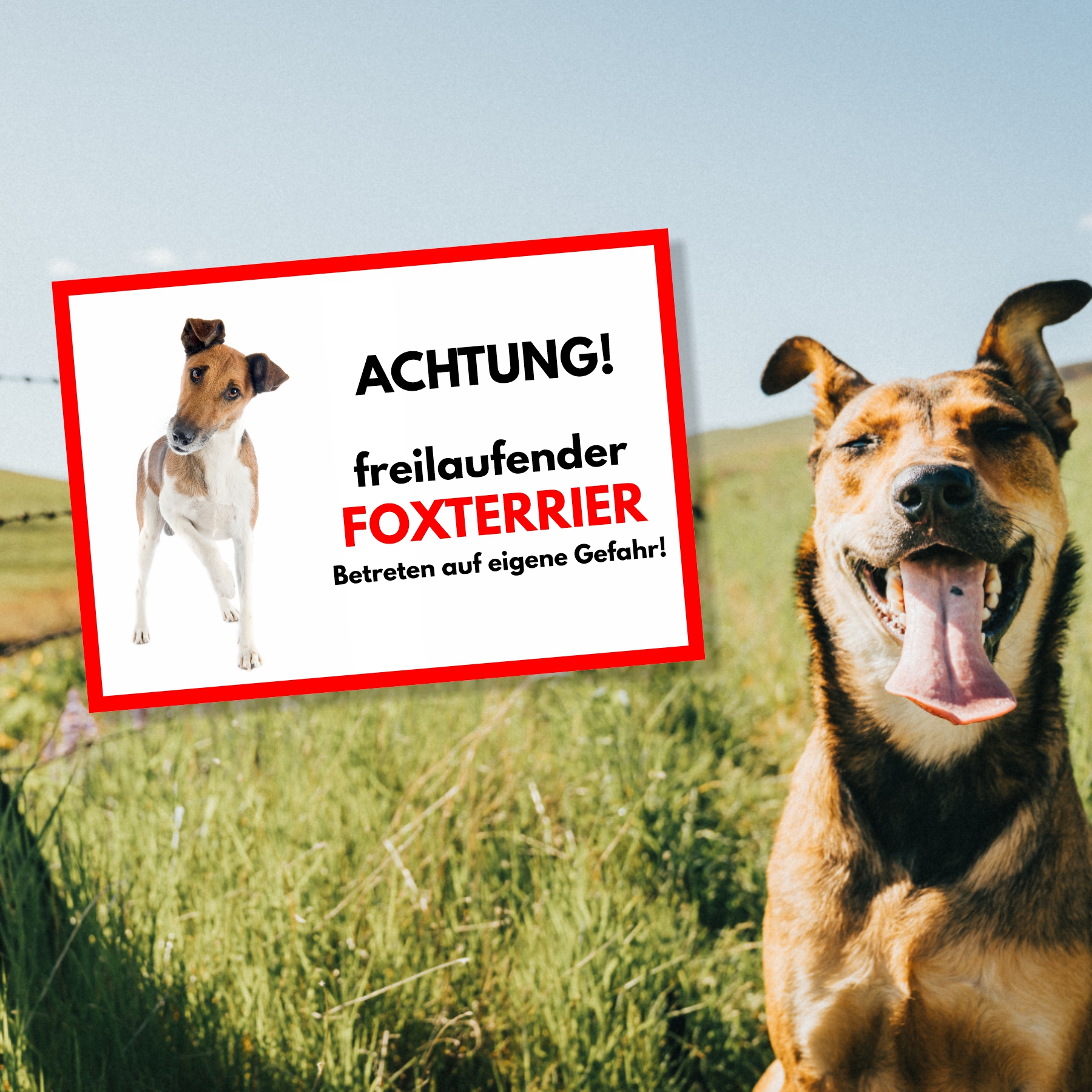 Foxterrier Freilaufender Hund Dog Schild Spruch Türschild Hundeschild Warnschild