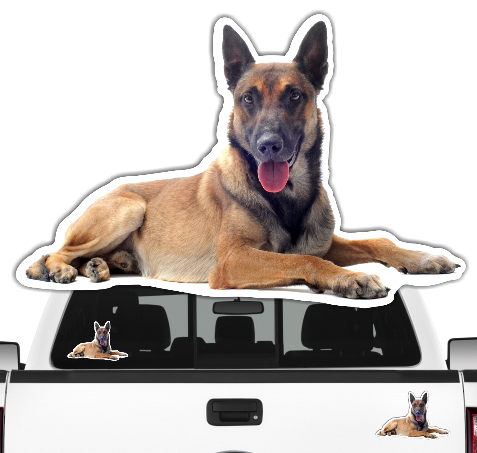 Malinois Belgian Mali Belgischer Schäferhund Berger Belge Dog Pfoten Digitaldruck Motiv by SIVIWONDER