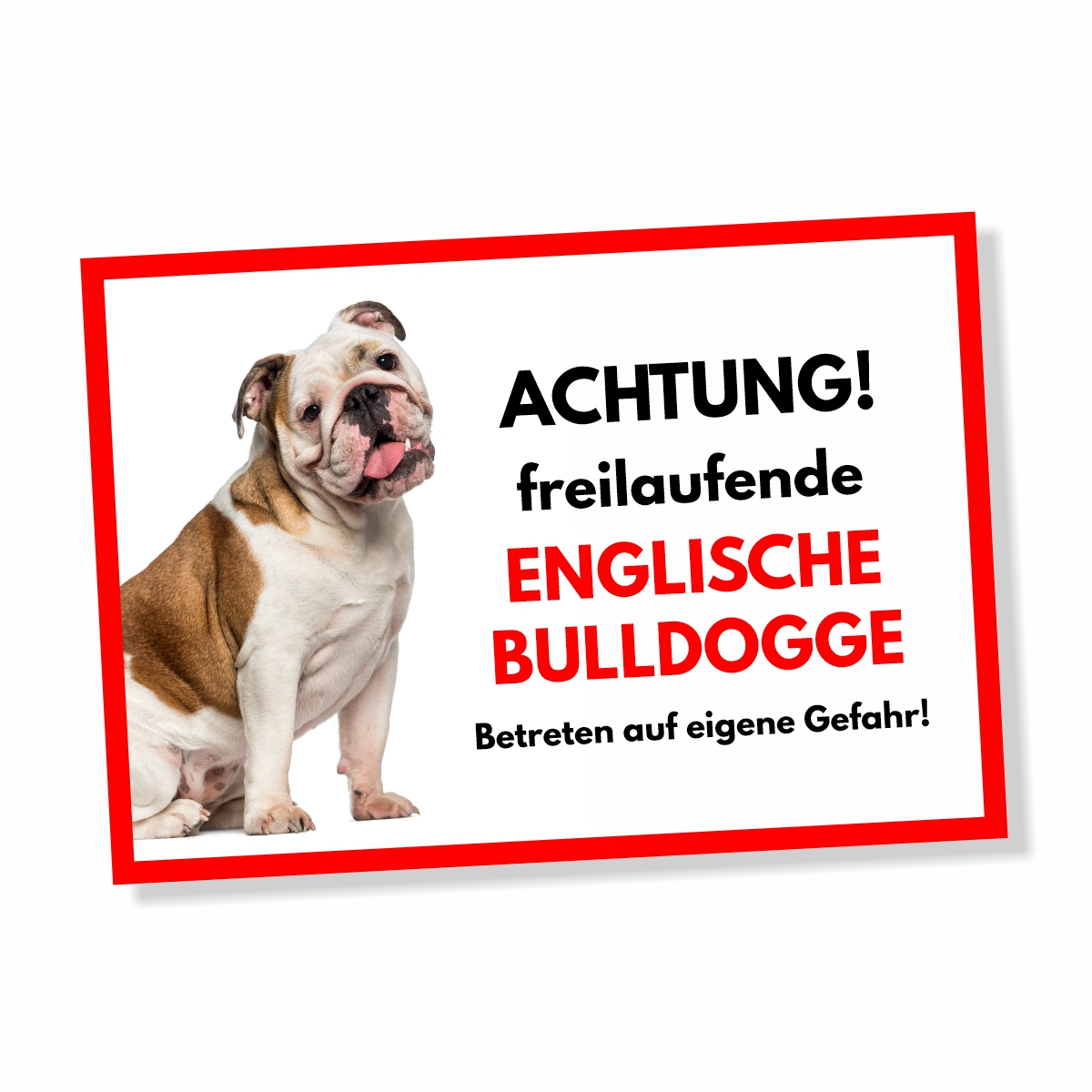 Englische Bulldogge Freilaufender Hund Dog Schild Spruch Türschild Hundeschild Warnschild