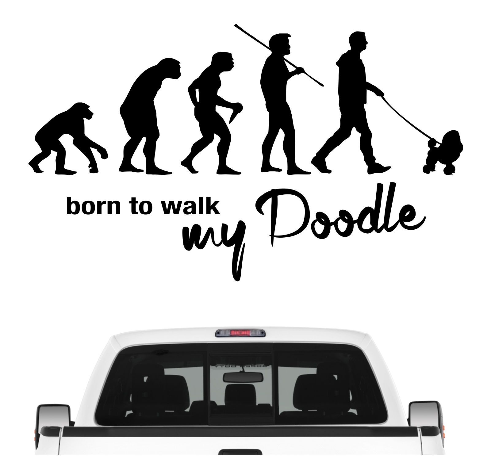 Poodle Pudel Pudle  Caniche  Barbone Großpudel Zwergpudel Evolution Born to Walk Hunde Aufkleber Sticker Autoaufkleber Wandtattoo Tattoo