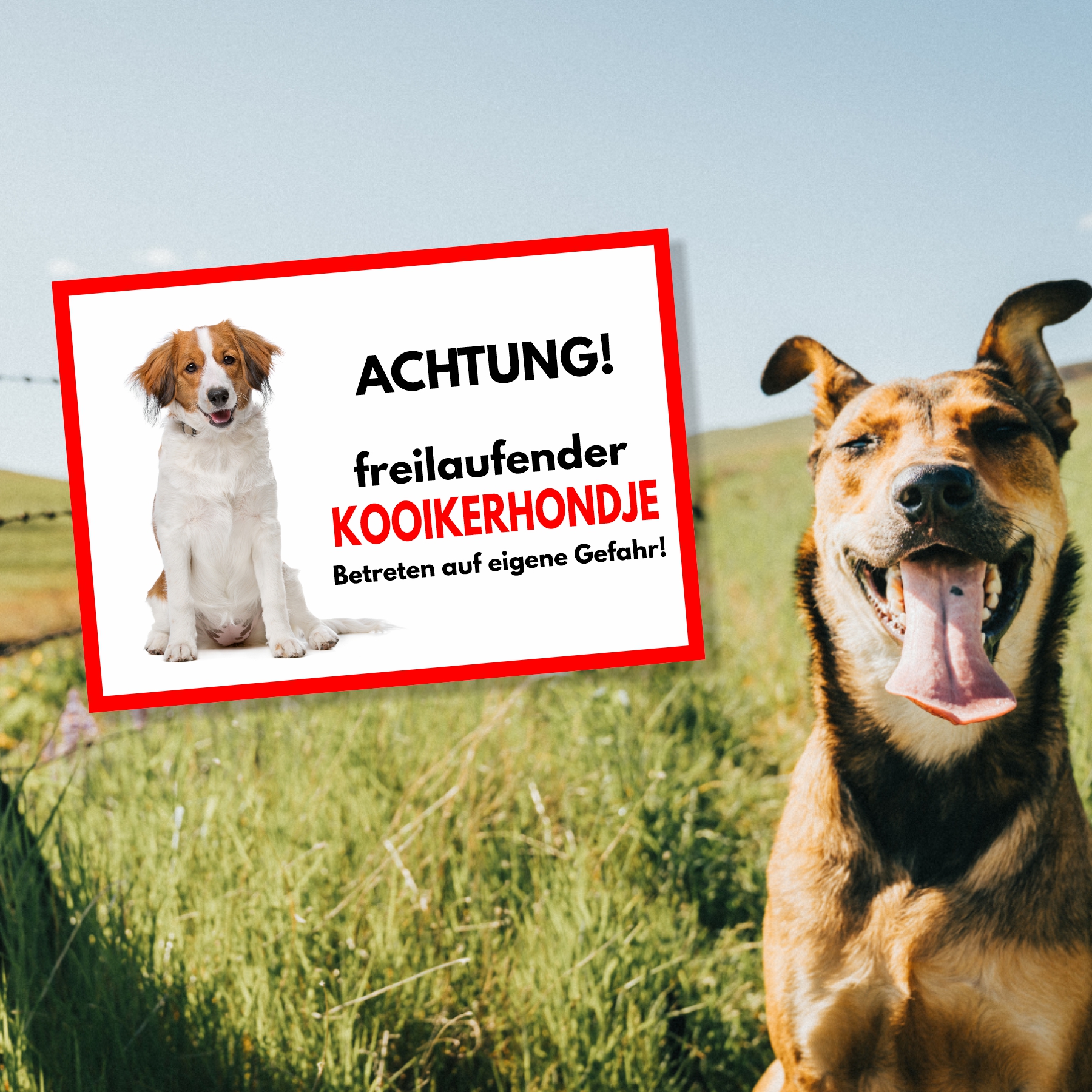 Kooikerhondje Freilaufender Hund Dog Schild Spruch Türschild Hundeschild Warnschild