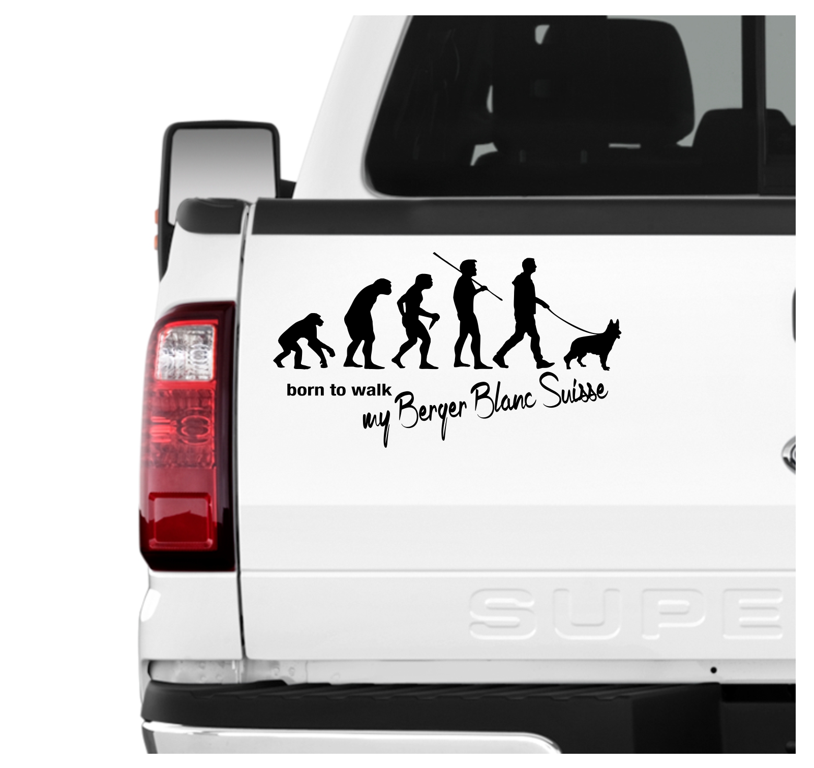 Berger Blanc Suisse White German Shepherd Dog American White Shepherd WS WGSD Evolution Born to Walk Hunde Aufkleber Sticker Autoaufkleber Wandtattoo Tattoo