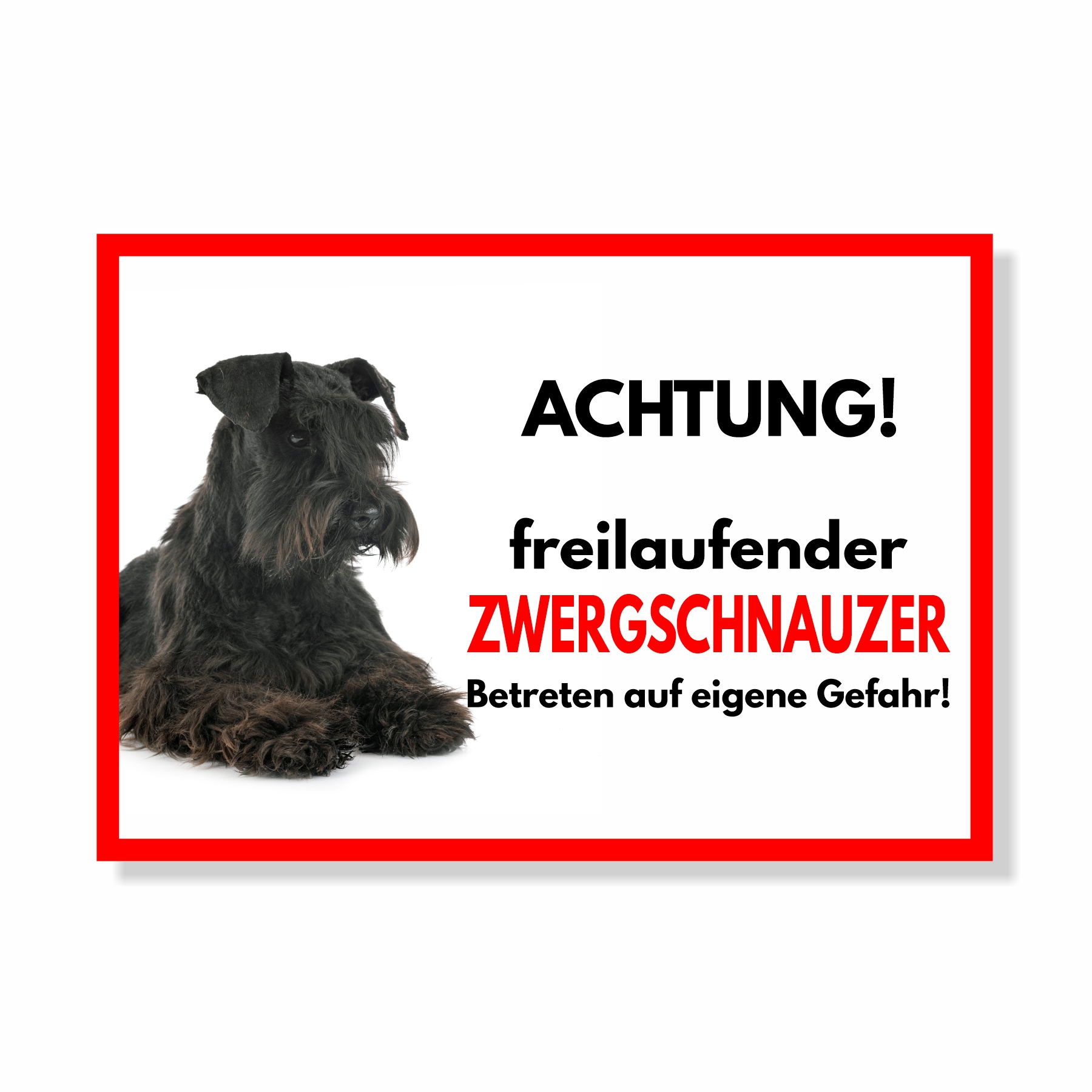 Zwergschnauzer 2 Freilaufender Hund Dog Schild Spruch Türschild Hundeschild Warnschild