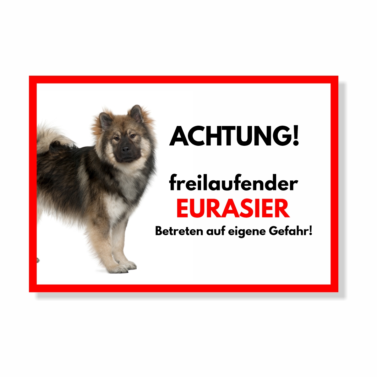 Eurasier Freilaufender Hund Dog Schild Spruch Türschild Hundeschild Warnschild