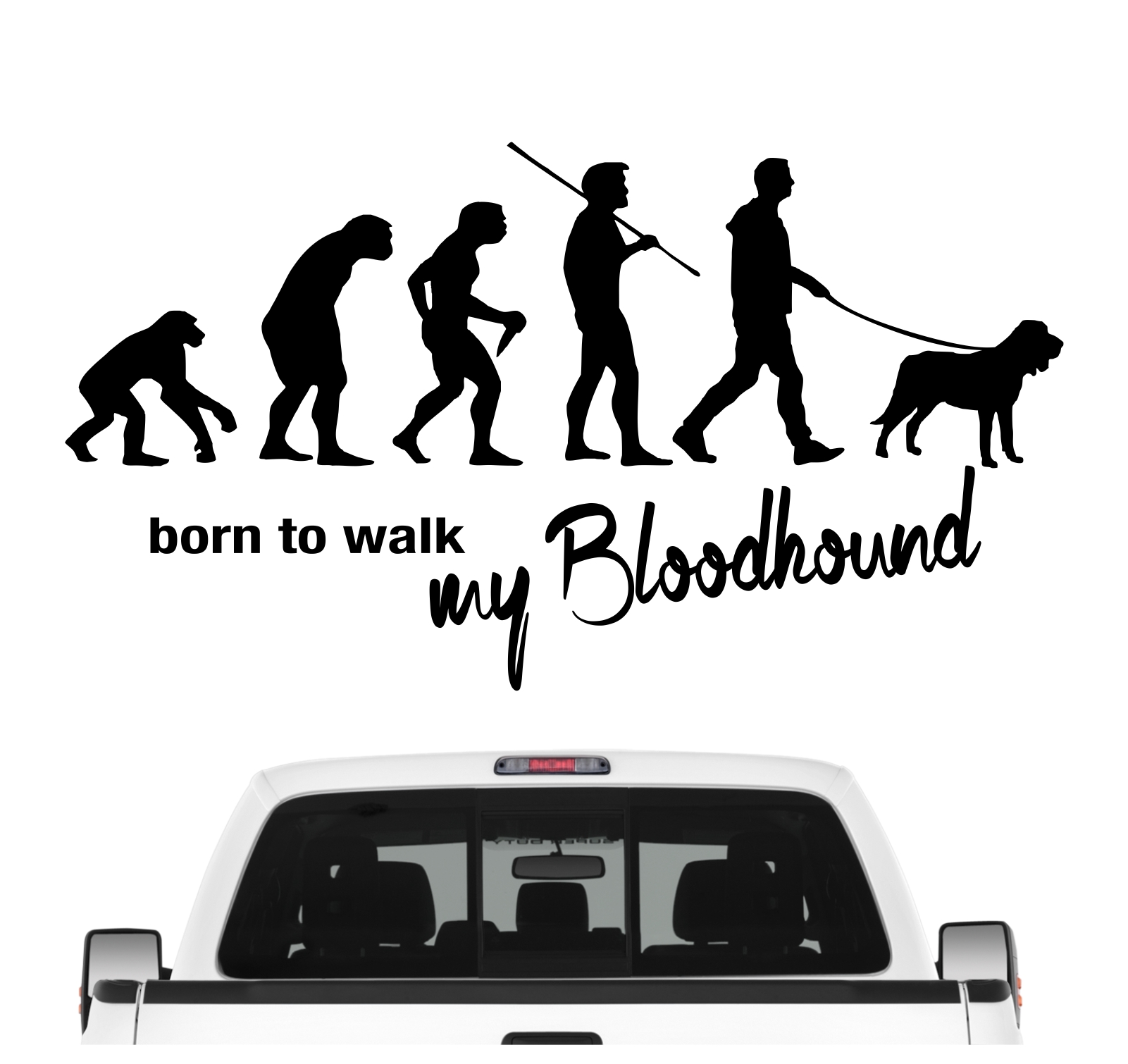 Bloodhound Bluthund St. Hubert Hund  Evolution Born to Walk Hunde Aufkleber Sticker Autoaufkleber Wandtattoo Tattoo