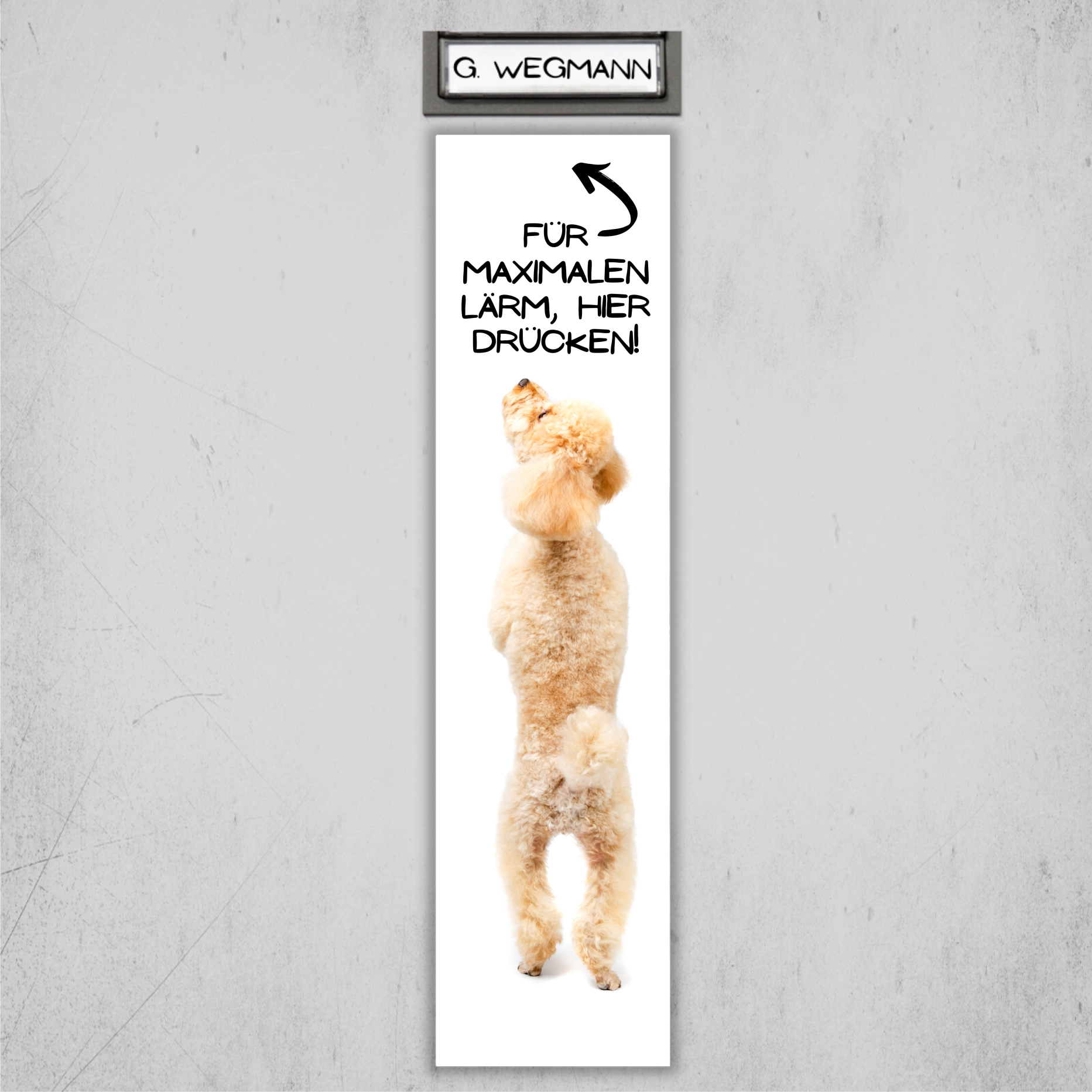 Pudel Pudle Poodle Caniche  Barbone Großpudel Zwergpudel Dog Türschild Warnschild Hundeschild Schildr happy Design by Siviwonder