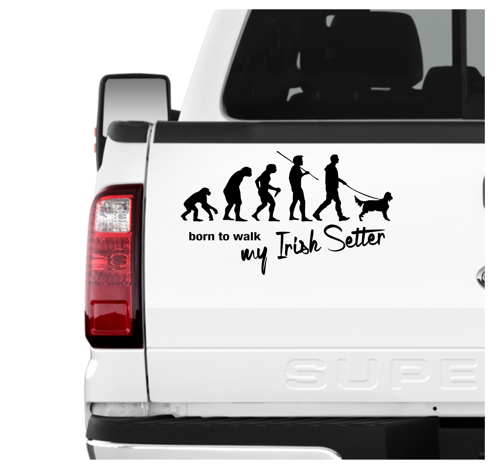 Irish Setter Red Irischer Roter Setter Evolution Born to Walk Hunde Aufkleber Sticker Autoaufkleber Wandtattoo Tattoo