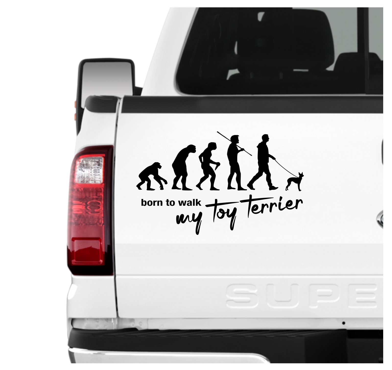 Toy Terrier Manchester English Evolution Born to Walk Hunde Aufkleber Sticker Autoaufkleber Wandtattoo Tattoo