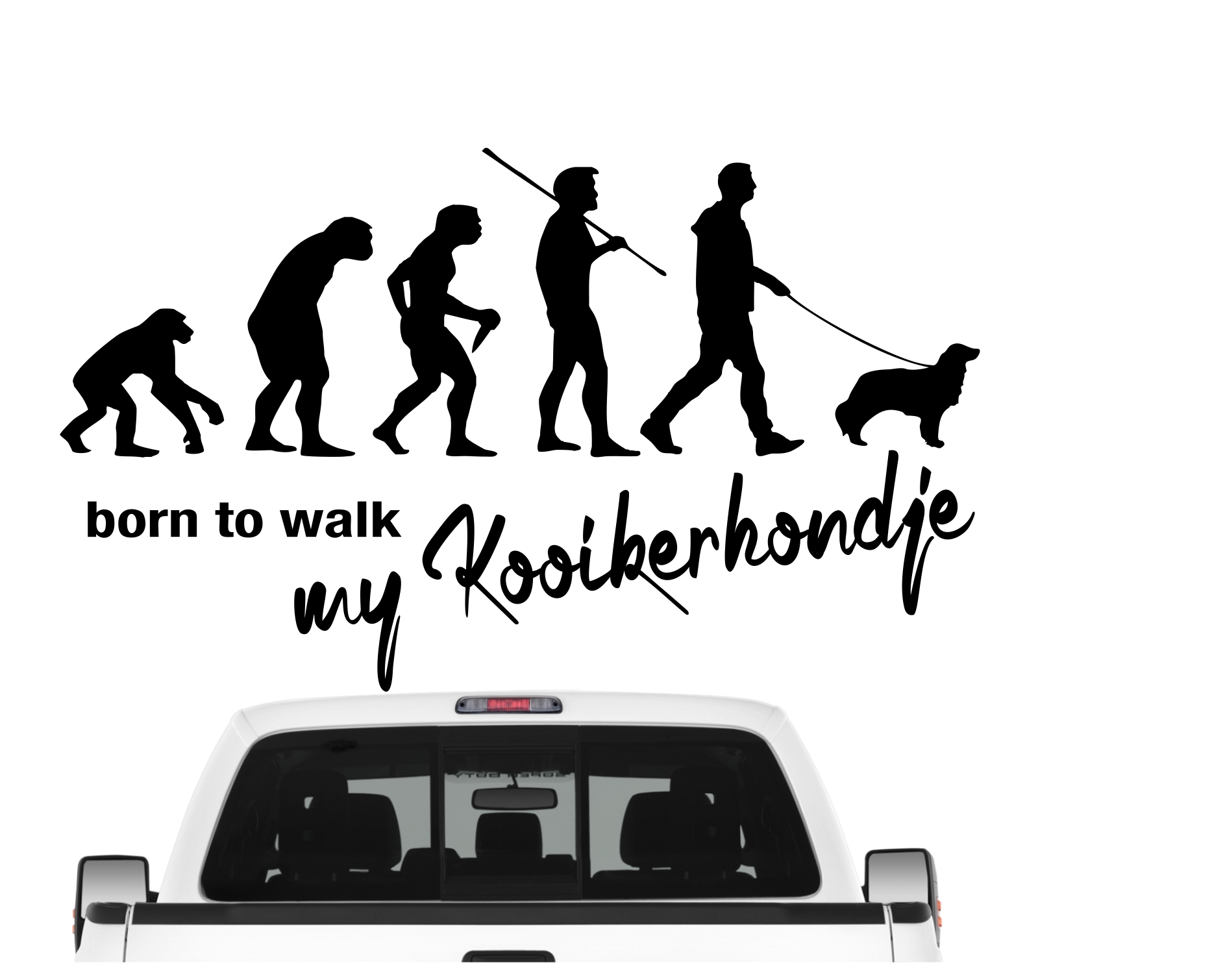 Kooikerhondje Kooiker Hound Evolution Auto Aufkleber Hund Folie