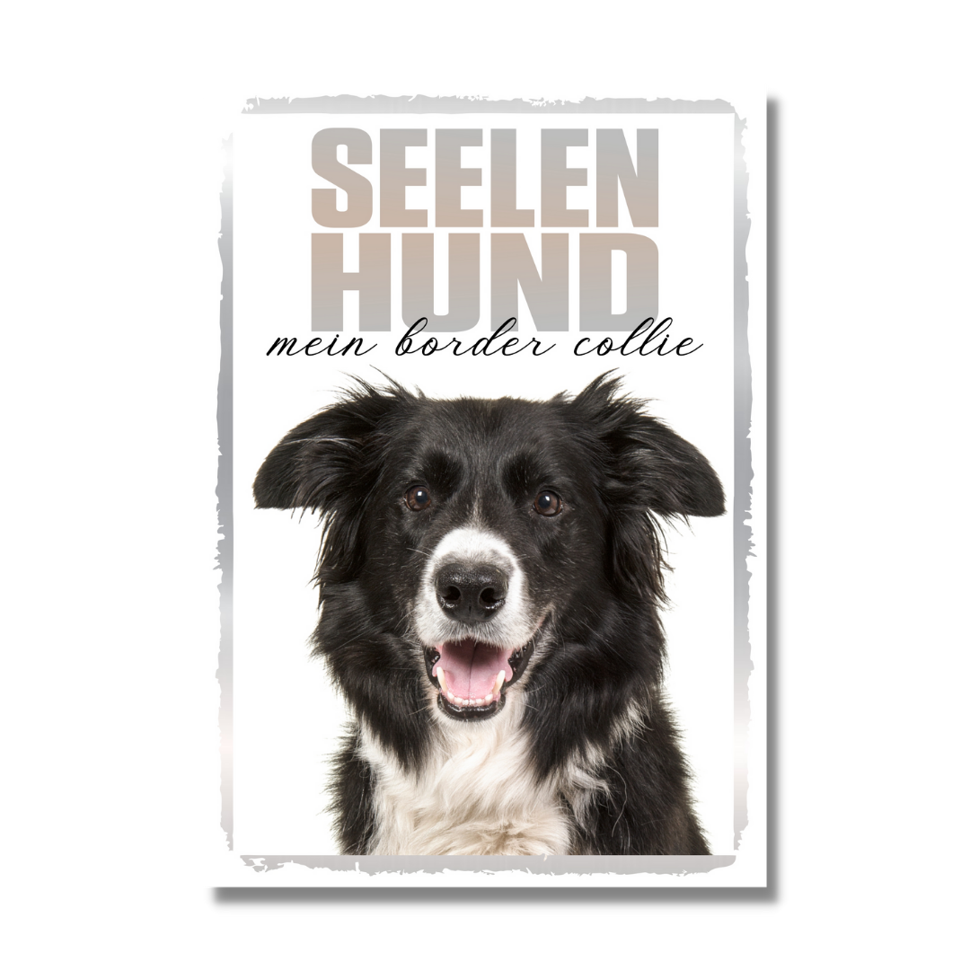 Border Collie Seelenhund Dog Schild Spruch Türschild Hundeschild Warnschild Soulmate