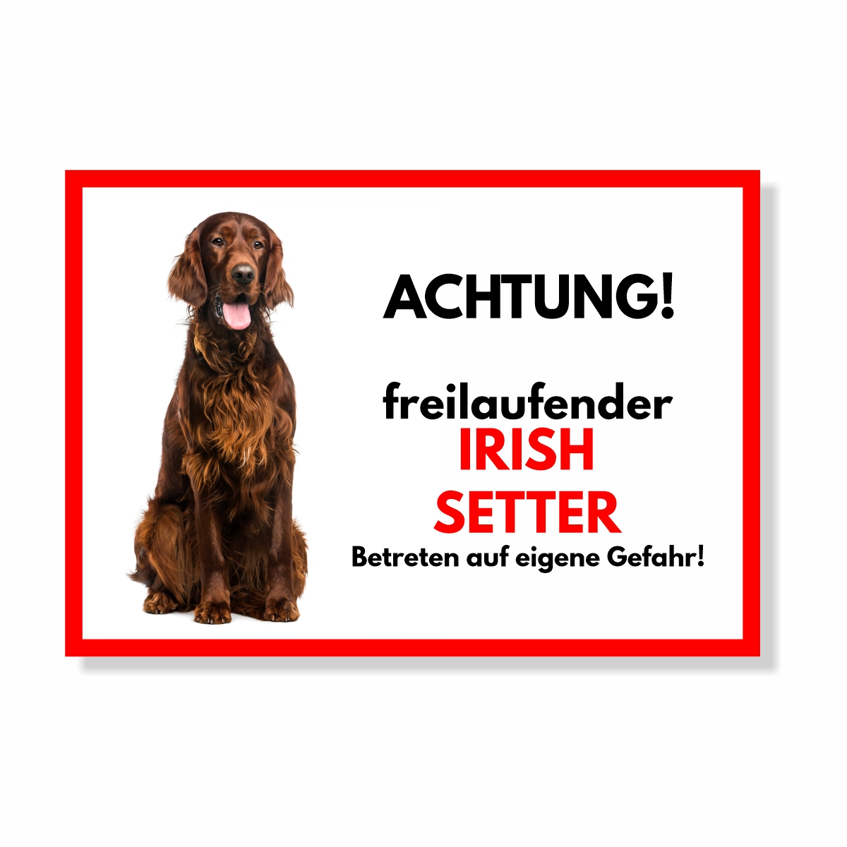 Irish Setter Freilaufender Hund Dog Schild Spruch Türschild Hundeschild Warnschild