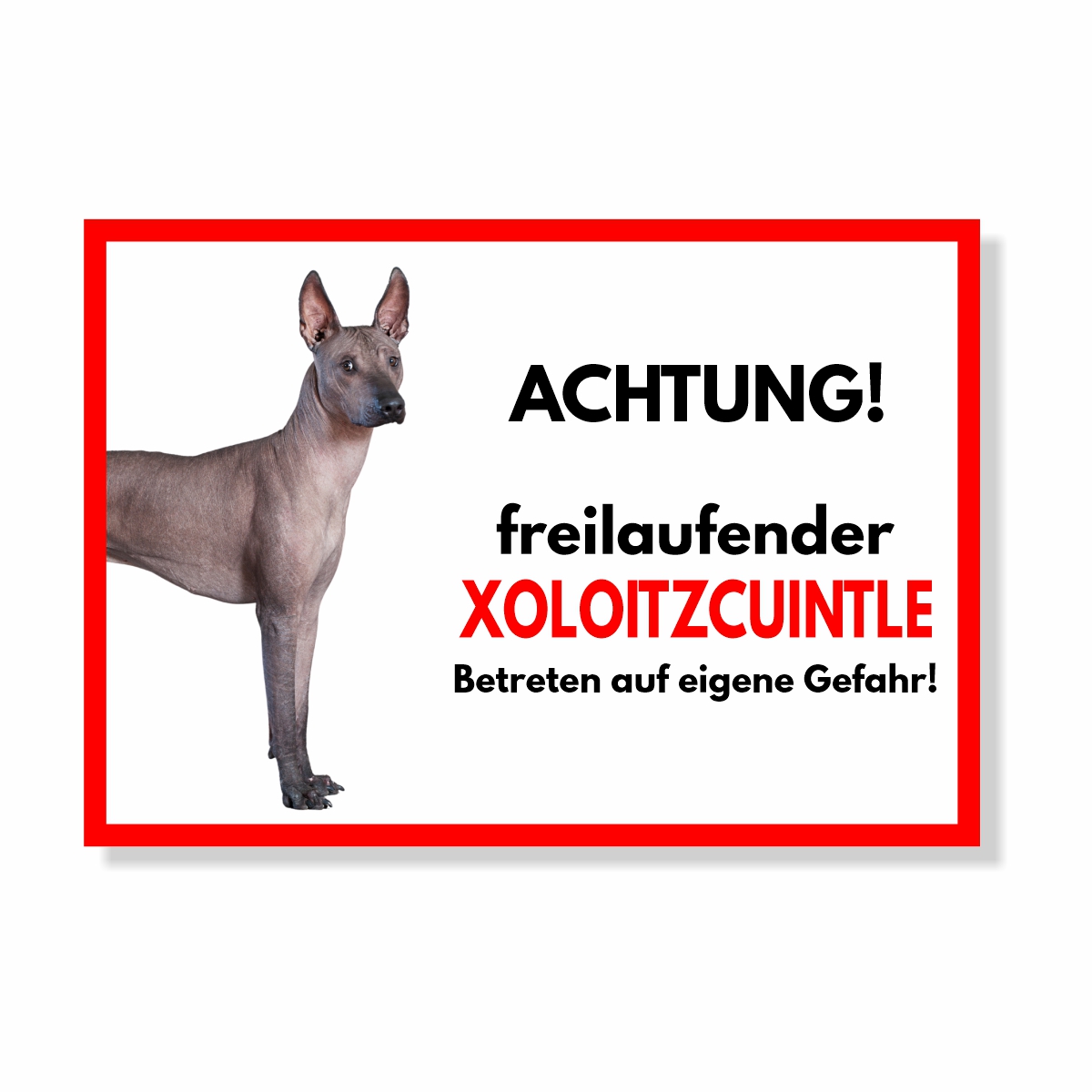 Xoloitzcuintle Freilaufender Hund Dog Schild Spruch Türschild Hundeschild Warnschild