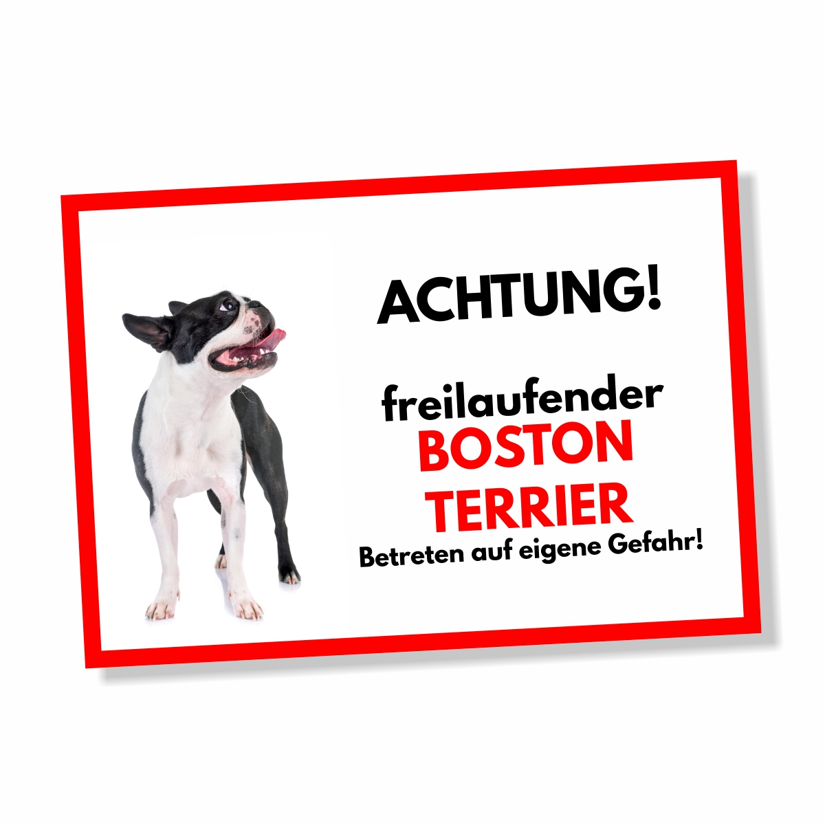 Boston Terrier Freilaufender Hund Dog Schild Spruch Türschild Hundeschild Warnschild