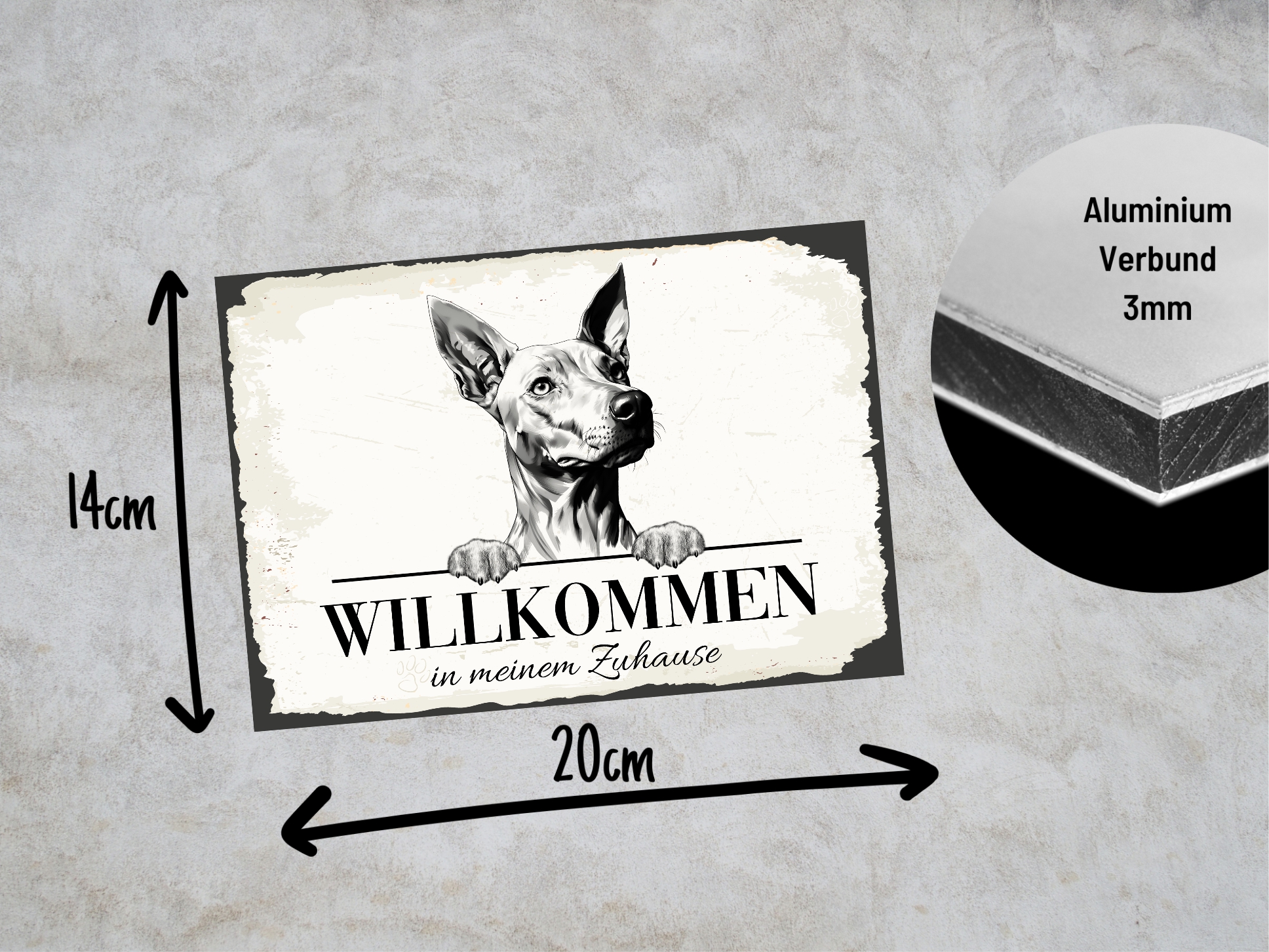 Hundeschild Willkommen Zuhause Etnahund Cirneco dell’Etna Schild