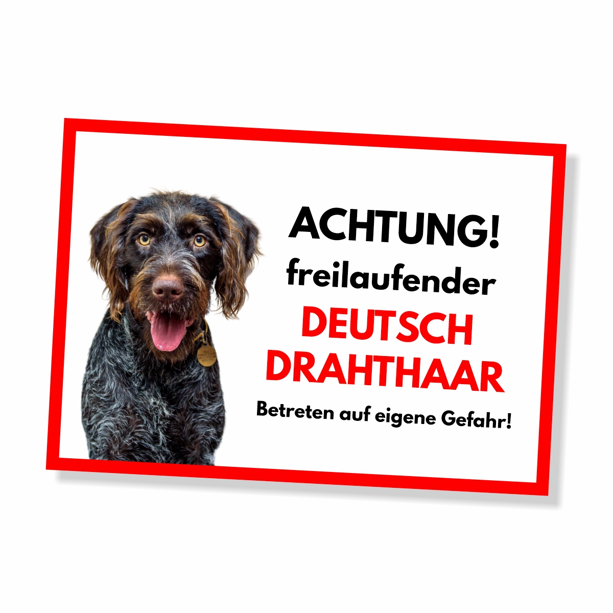 Deutsch Drahthaar Freilaufender Hund Dog Schild Spruch Türschild Hundeschild Warnschild