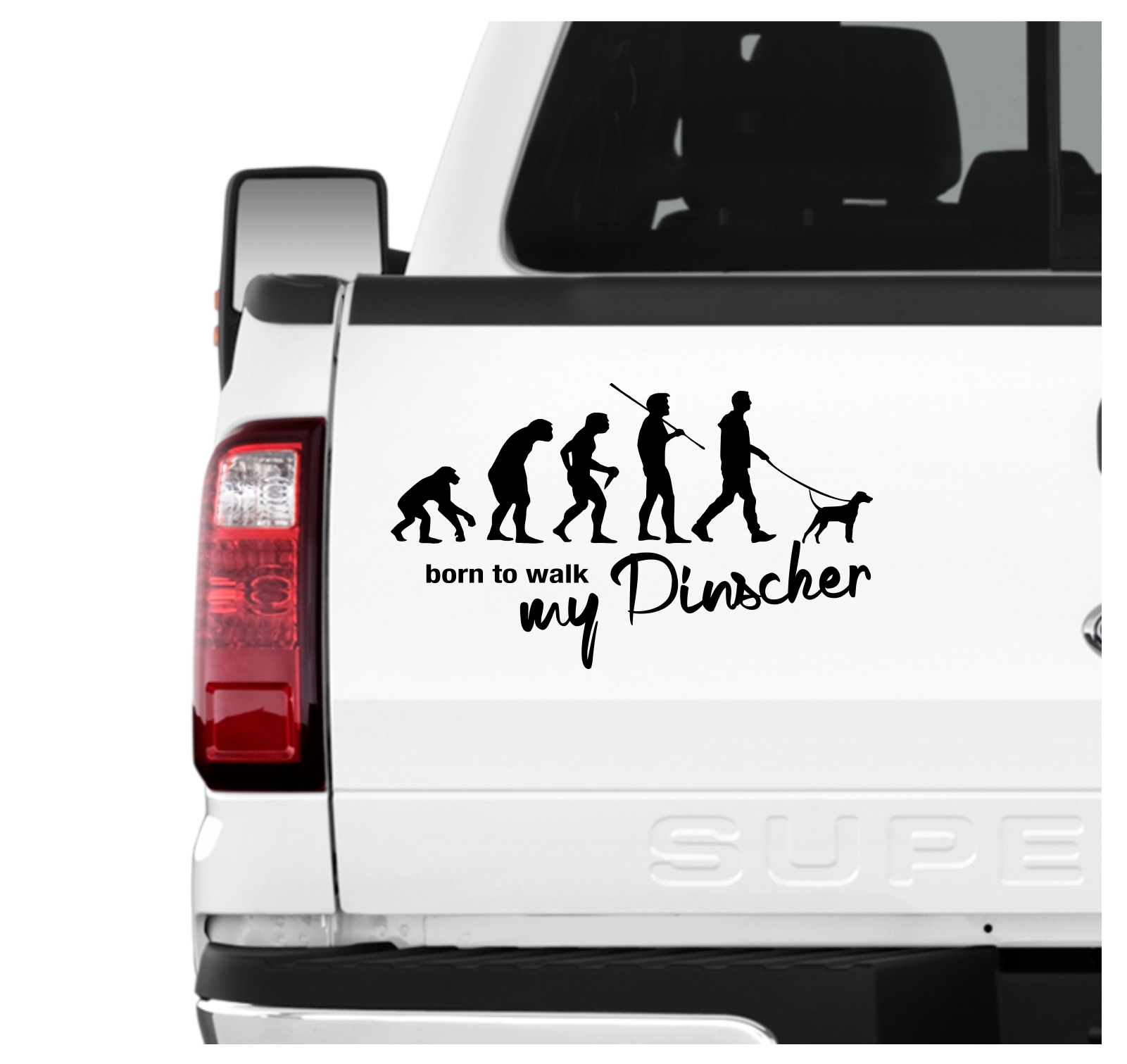 Pinscher Zwergpinscher Min Pin Miniature Evolution Born to Walk Hunde Aufkleber Sticker Autoaufkleber Wandtattoo Tattoo