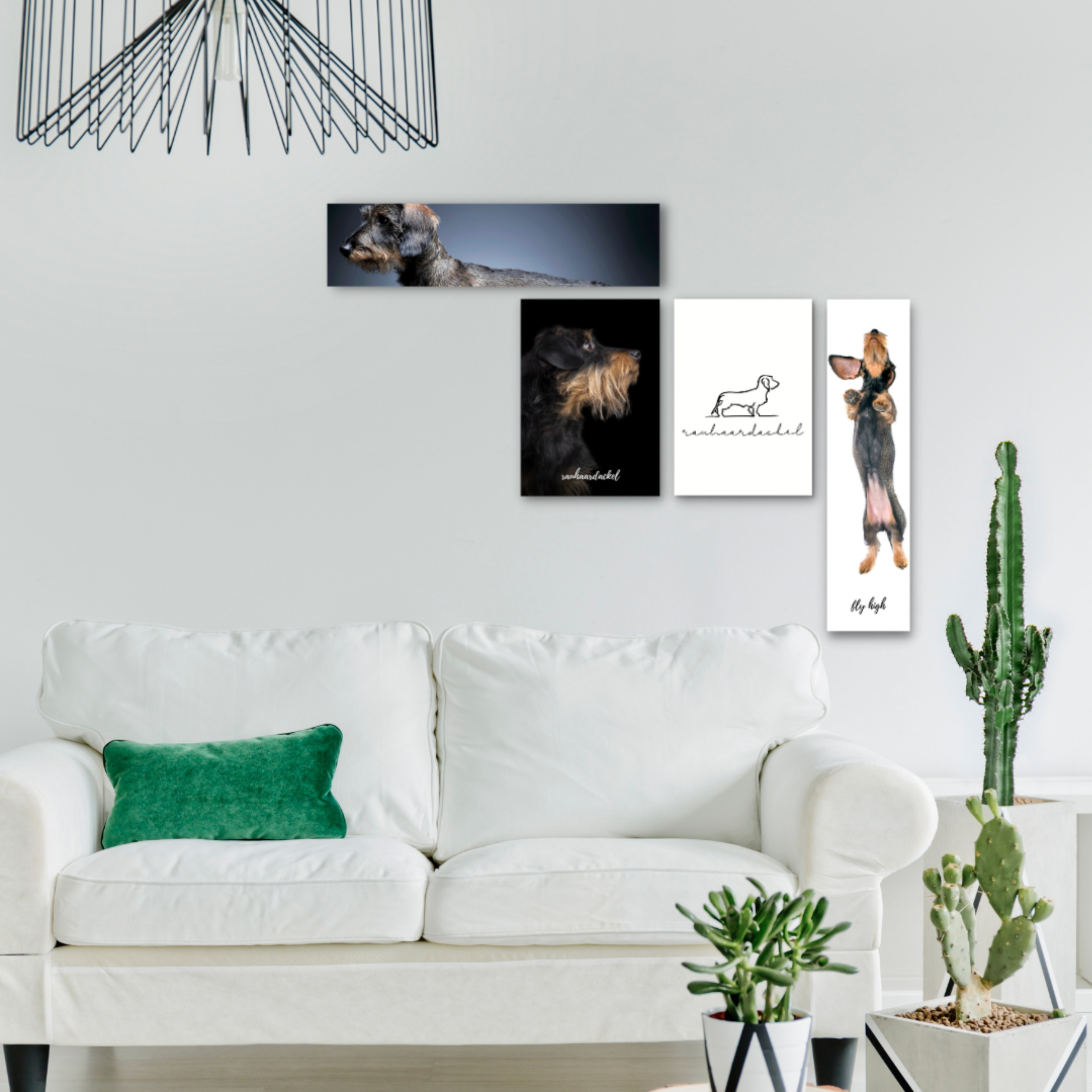 Rauhaardackel Dackel Schild Fly high Spruch Türschild Warnschild Fun cool Design