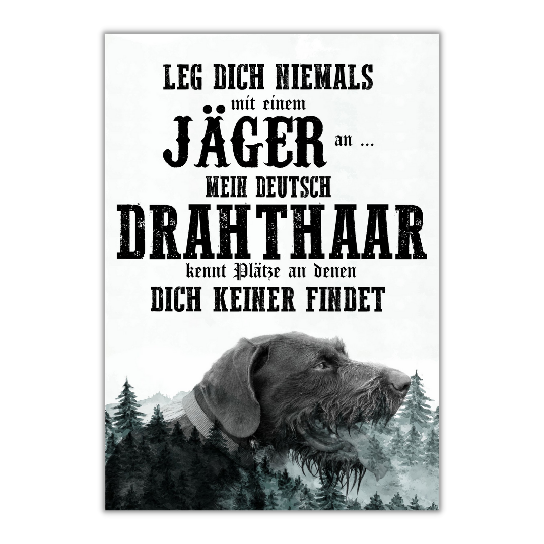 Schild DEUTSCH DRAHTHAAR Dog Hund Spruch Türschild Hundeschild Jagd Jagdhund Wall Art