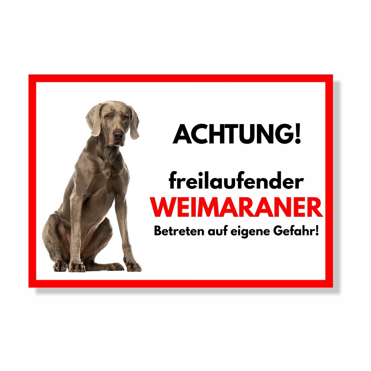 Weimaraner Freilaufender Hund Dog Schild Spruch Türschild Hundeschild Warnschild