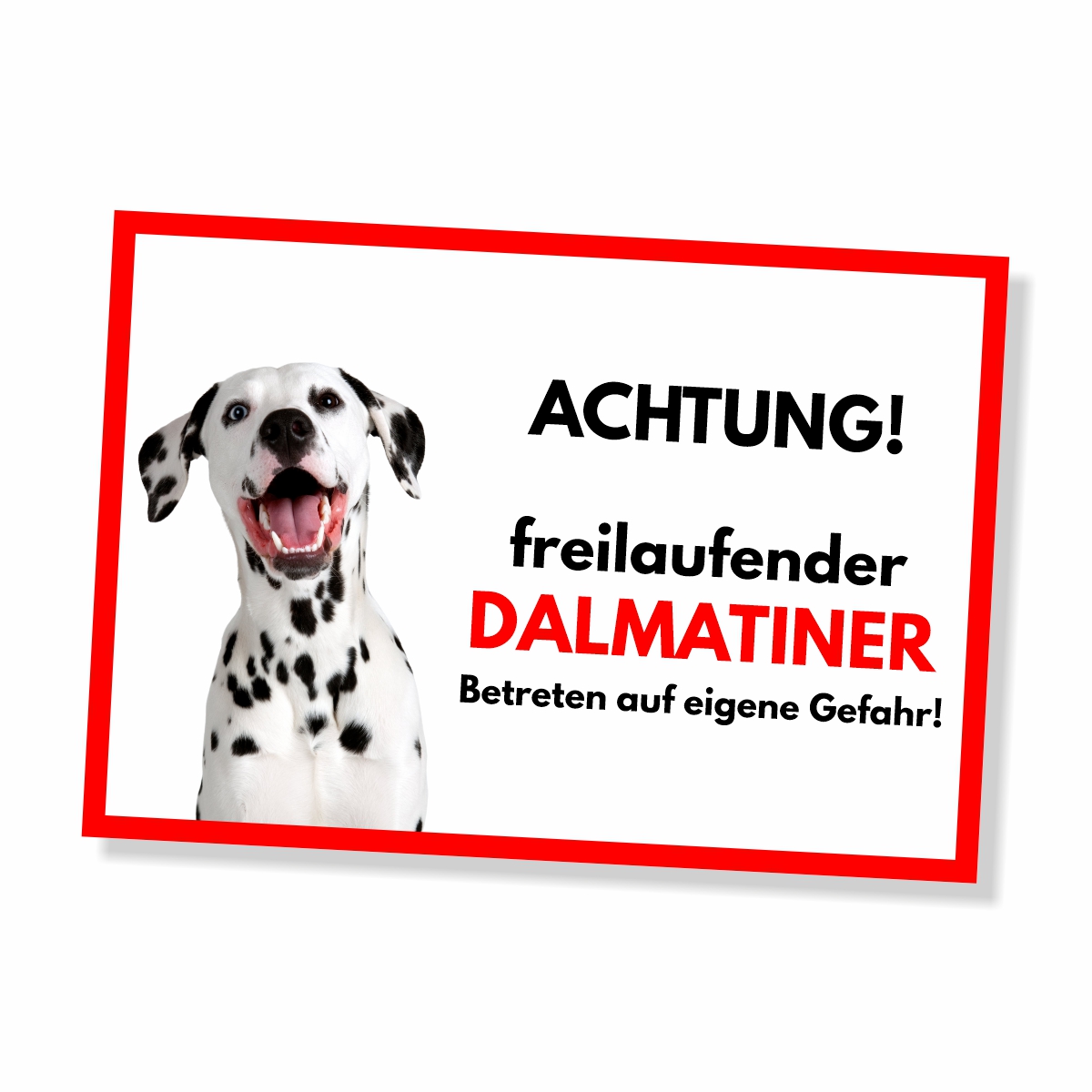 Dalmatiner Freilaufender Hund Dog Schild Spruch Türschild Hundeschild Warnschild