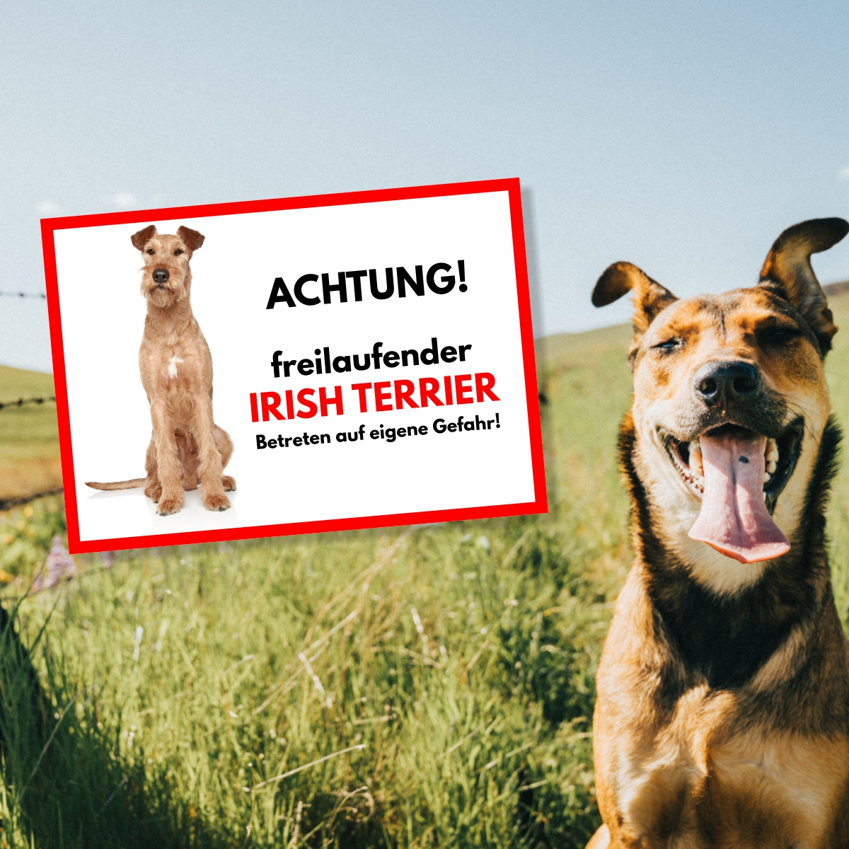 Irish Terrier Freilaufender Hund Dog Schild Spruch Türschild Hundeschild Warnschild