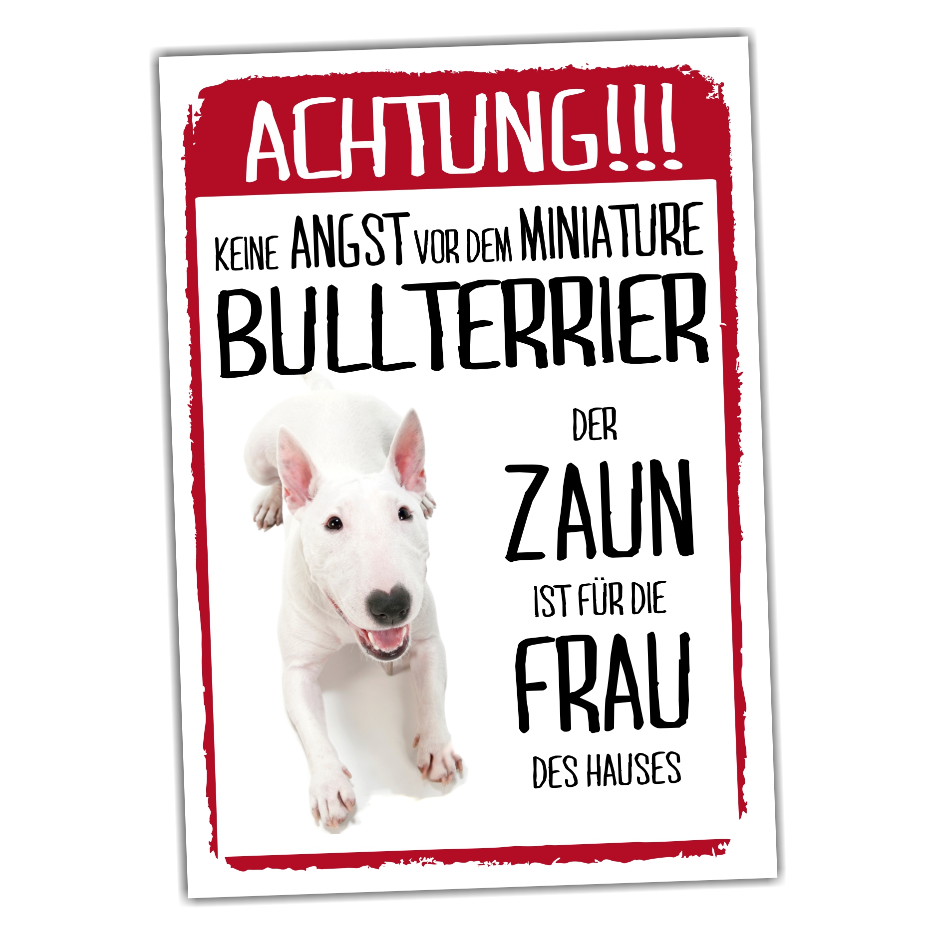 Miniature Bullterrier Dog Schild Achtung Zaun Frau Spruch Türschild Hundeschild Warnschild Fun