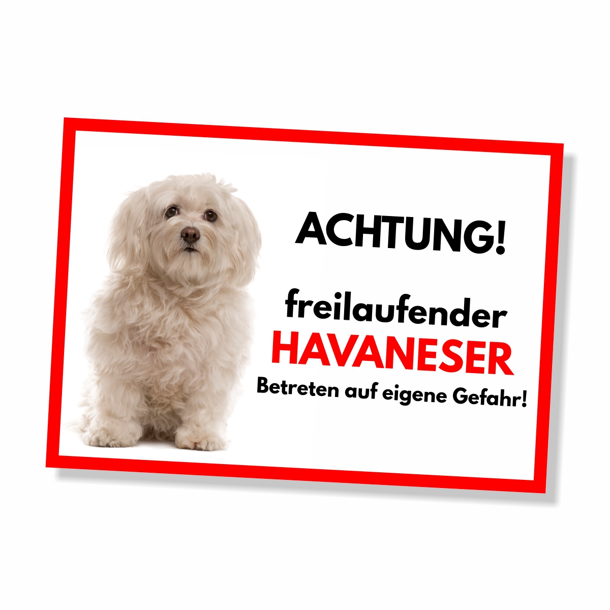 Havaneser Freilaufender Hund Dog Schild Spruch Türschild Hundeschild Warnschild