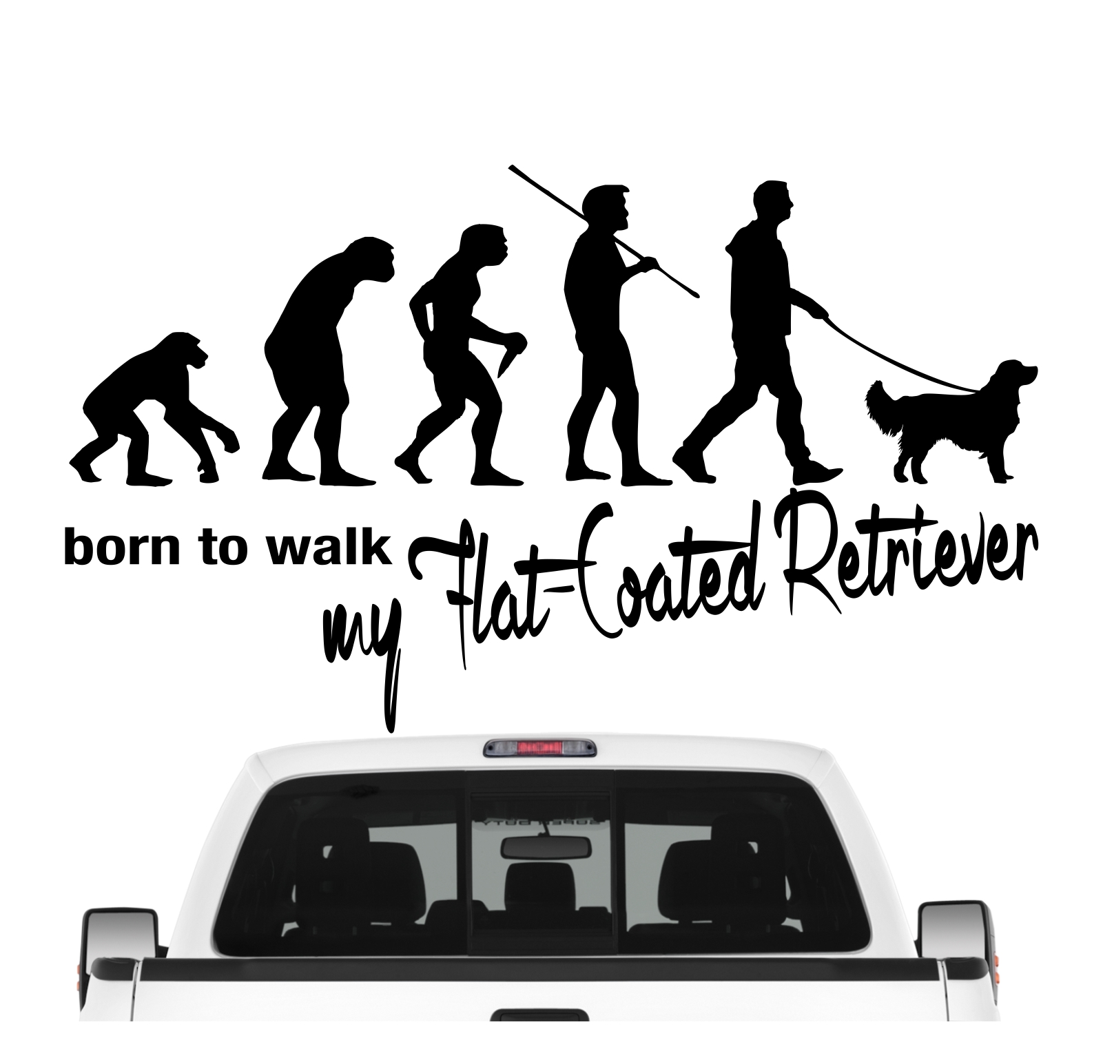 Flat Coated Retriever Flattie Flatcoat Evolution Auto Aufkleber Hund Folie