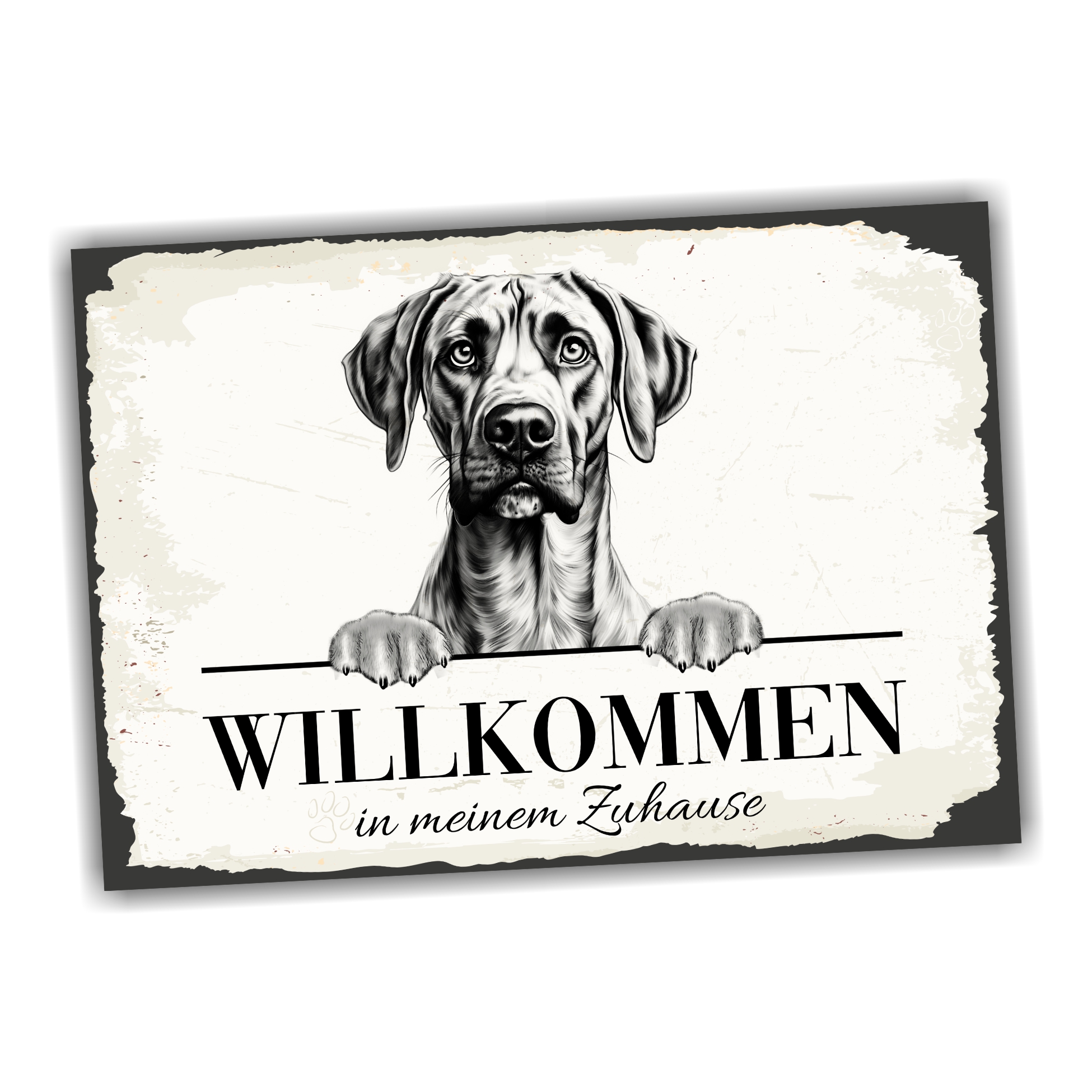 Hundeschild Willkommen Zuhause Plott Hound Dog Schild Spruch Türschild Warnschild Plotthound