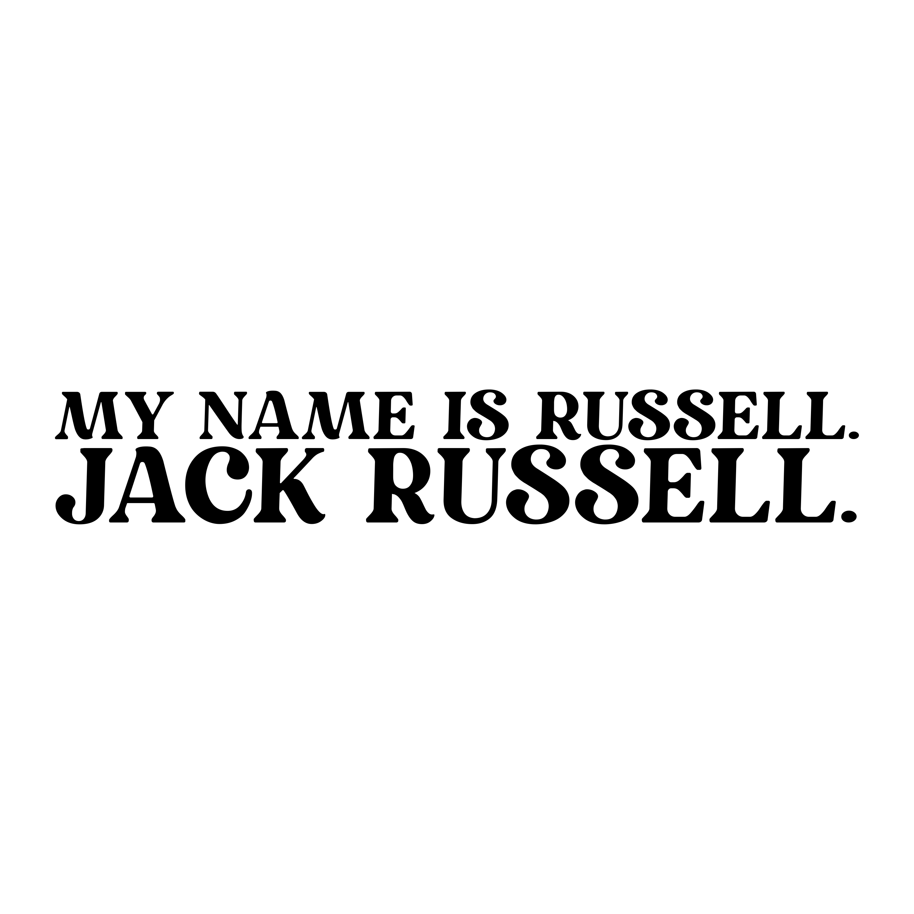 Jack Russell Dog Name  Hundeaufkleber Hundemotiv Folie Terrier JRT Jacky Jackie Russel