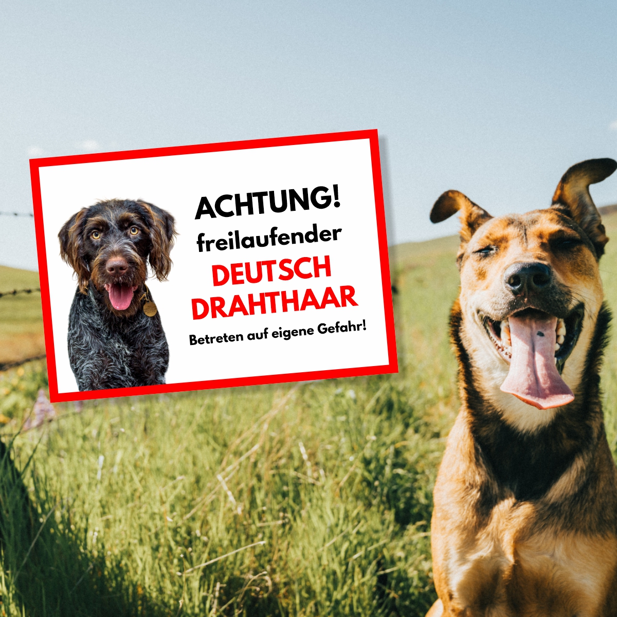 Deutsch Drahthaar Freilaufender Hund Dog Schild Spruch Türschild Hundeschild Warnschild