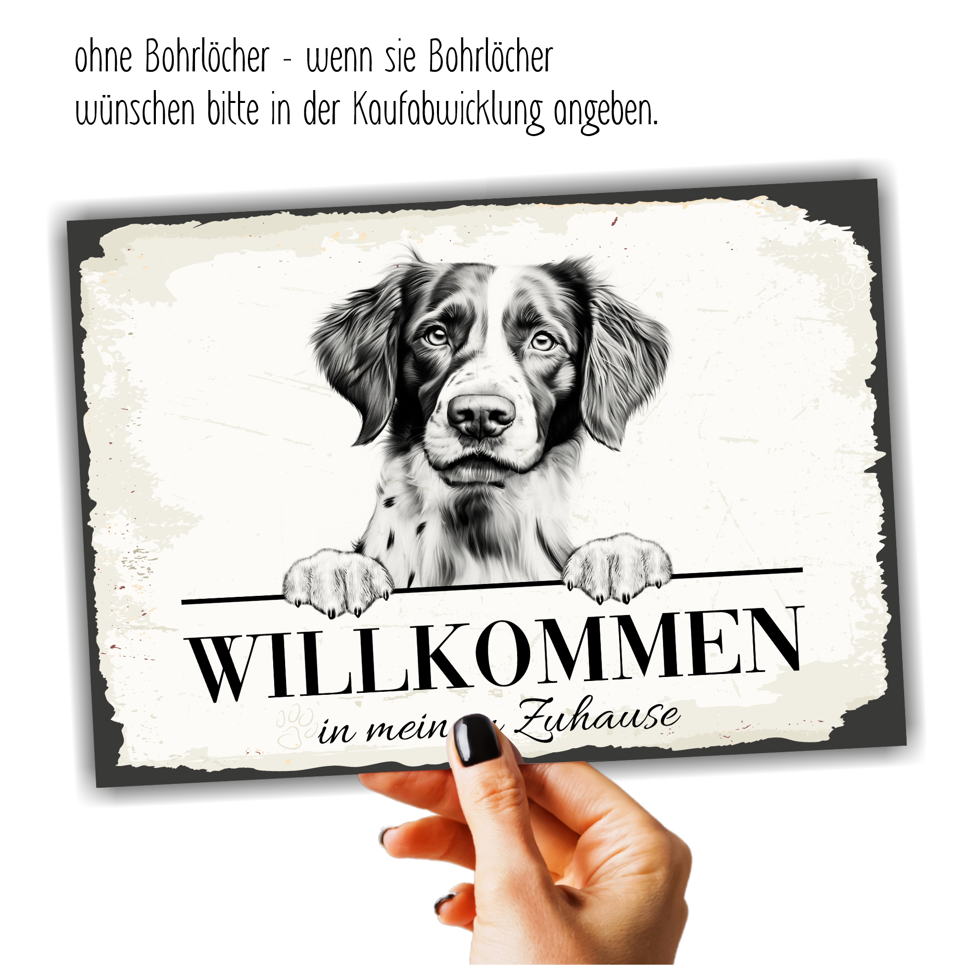 Hundeschild Willkommen Zuhause Epagneul Breton Spaniel No.3 Dog Schild Spruch Türschild Warnschild