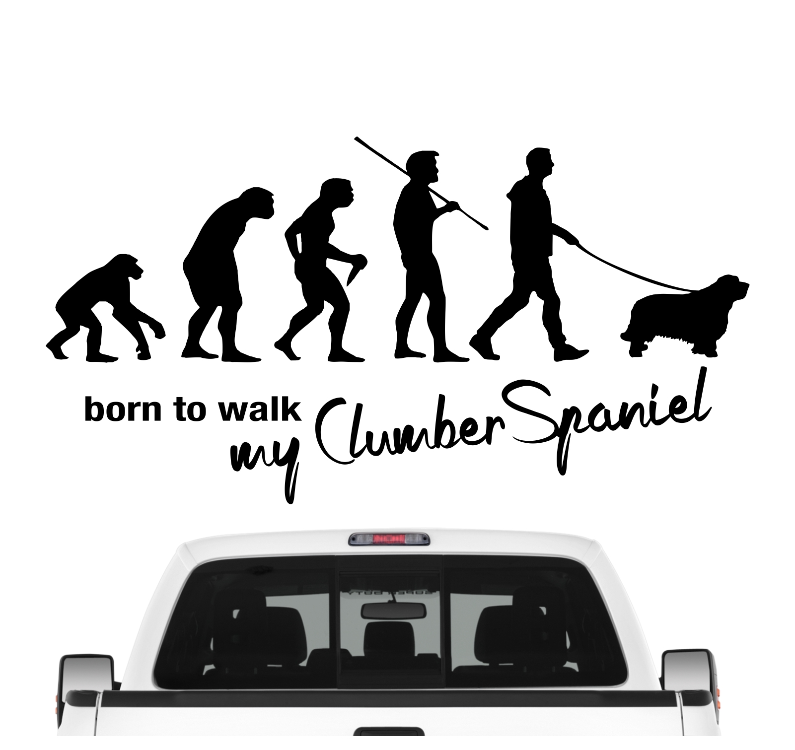 Clumber Spaniel Evolution Born to Walk Hunde Aufkleber Sticker Autoaufkleber Wandtattoo Tattoo