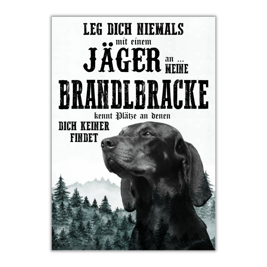 Schild BRANDLBRACKE Dog Hund Jäger Spruch Türschild Hundeschild Jagd Jagdhund