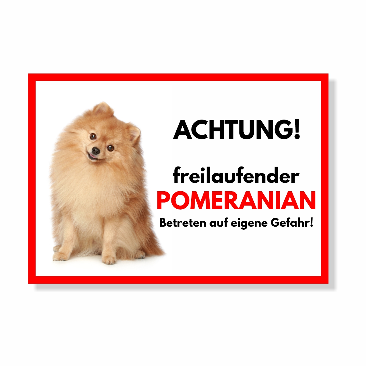 Pomeranian 2 Freilaufender Hund Dog Schild Spruch Türschild Hundeschild Warnschild