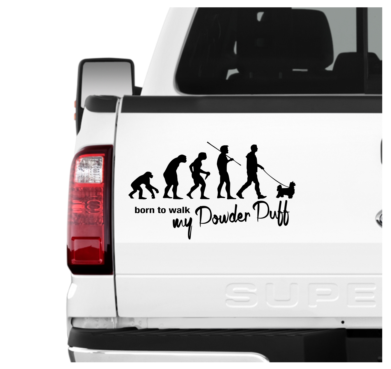 Powder Puff Powderpuff Chinese Crested Chinesischer Schopfhund Evolution Born to Walk Hunde Aufkleber Sticker Autoaufkleber Wandtattoo Tattoo