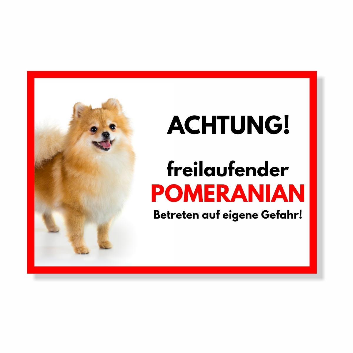 Pomeranian Freilaufender Hund Dog Schild Spruch Türschild Hundeschild Warnschild