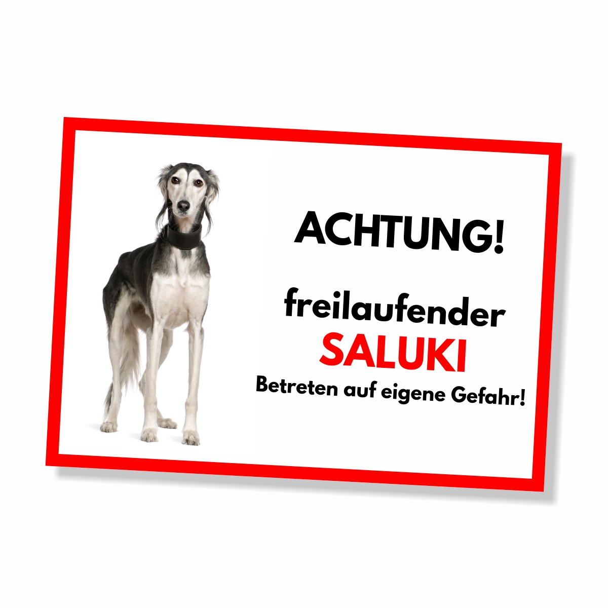 Saluki Freilaufender Hund Dog Schild Spruch Türschild Hundeschild Warnschild