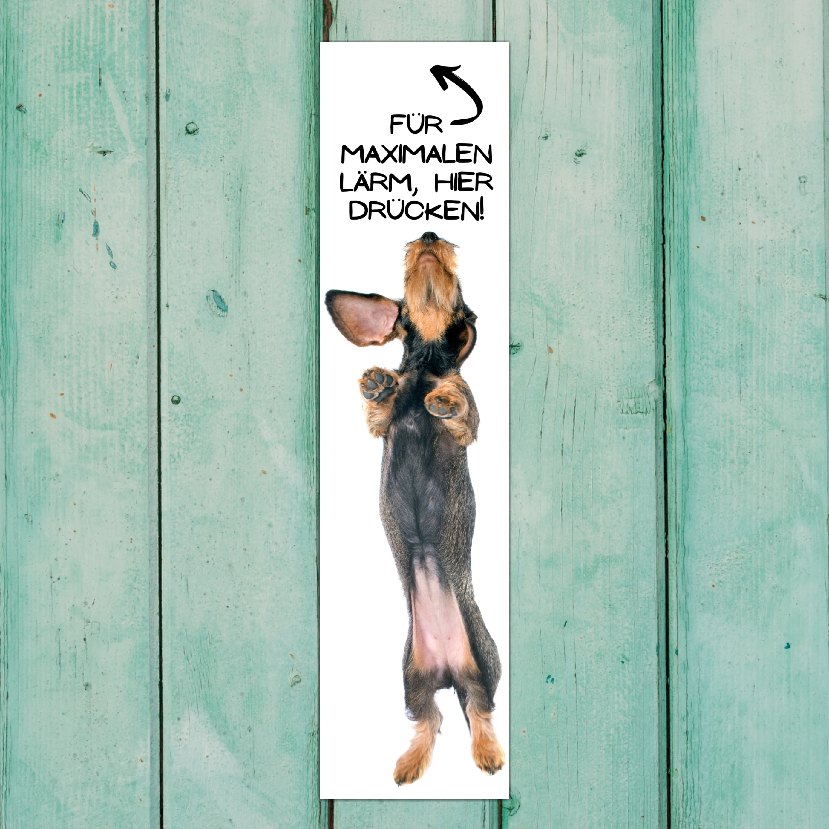 Rauhaardackel Dackel Teckel Dachshund Rauhhaardackel Dog Türschild Warnschild Hundeschild Schildr happy Design by Siviwonder