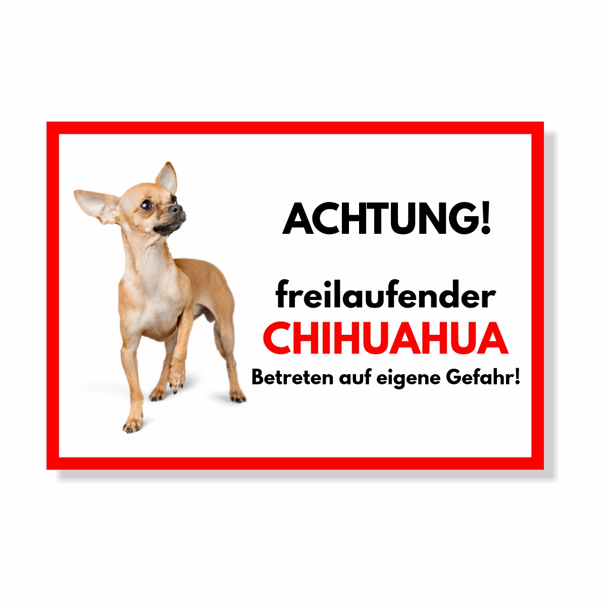 Chihuahua Freilaufender Hund Dog Schild Spruch Türschild Hundeschild Warnschild