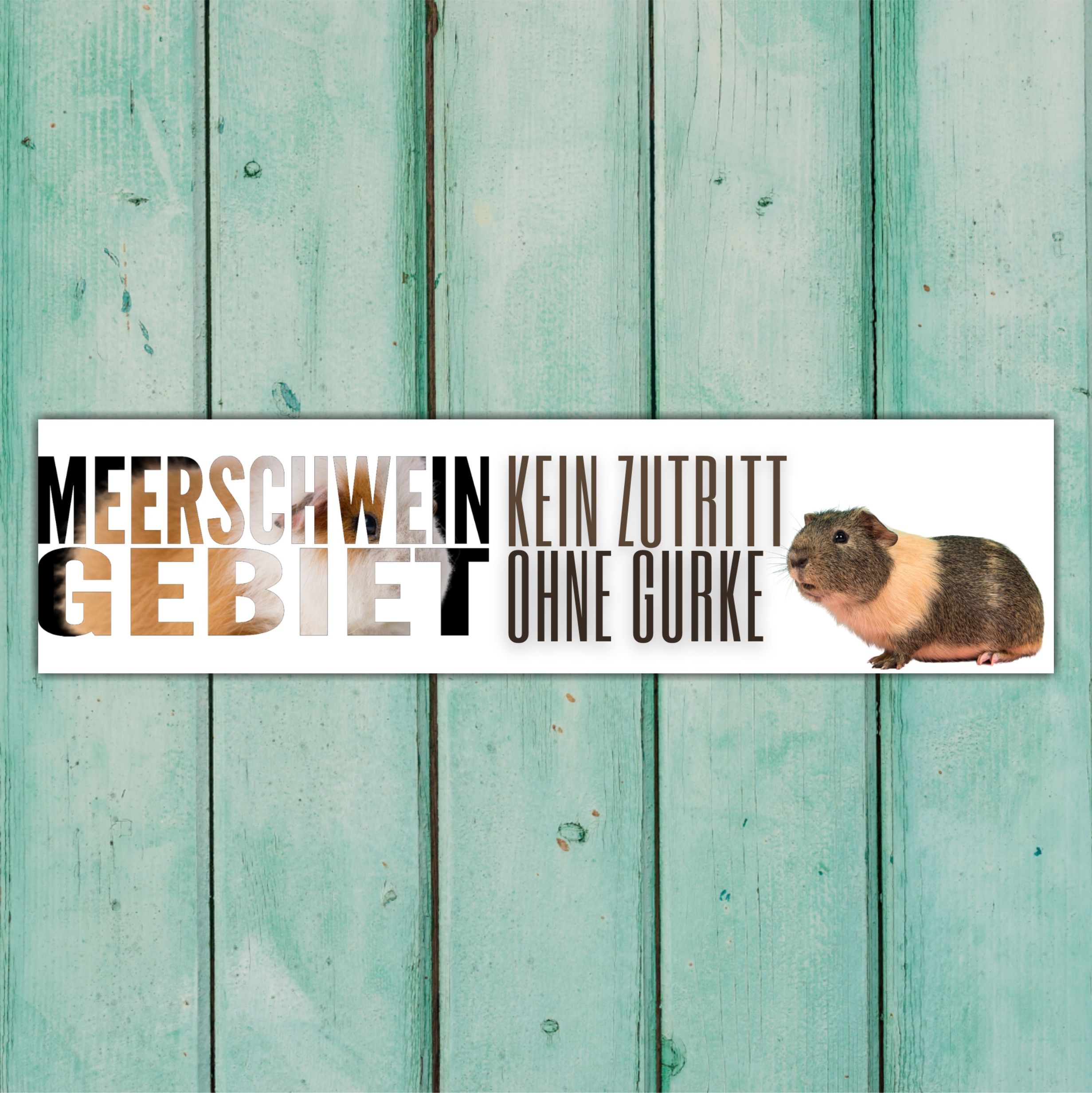 Meerschwein Gebiet - kein Zutritt ohne Gurke Sprüche Türschild Warnschild Spruch Schild happy Design by Siviwonder