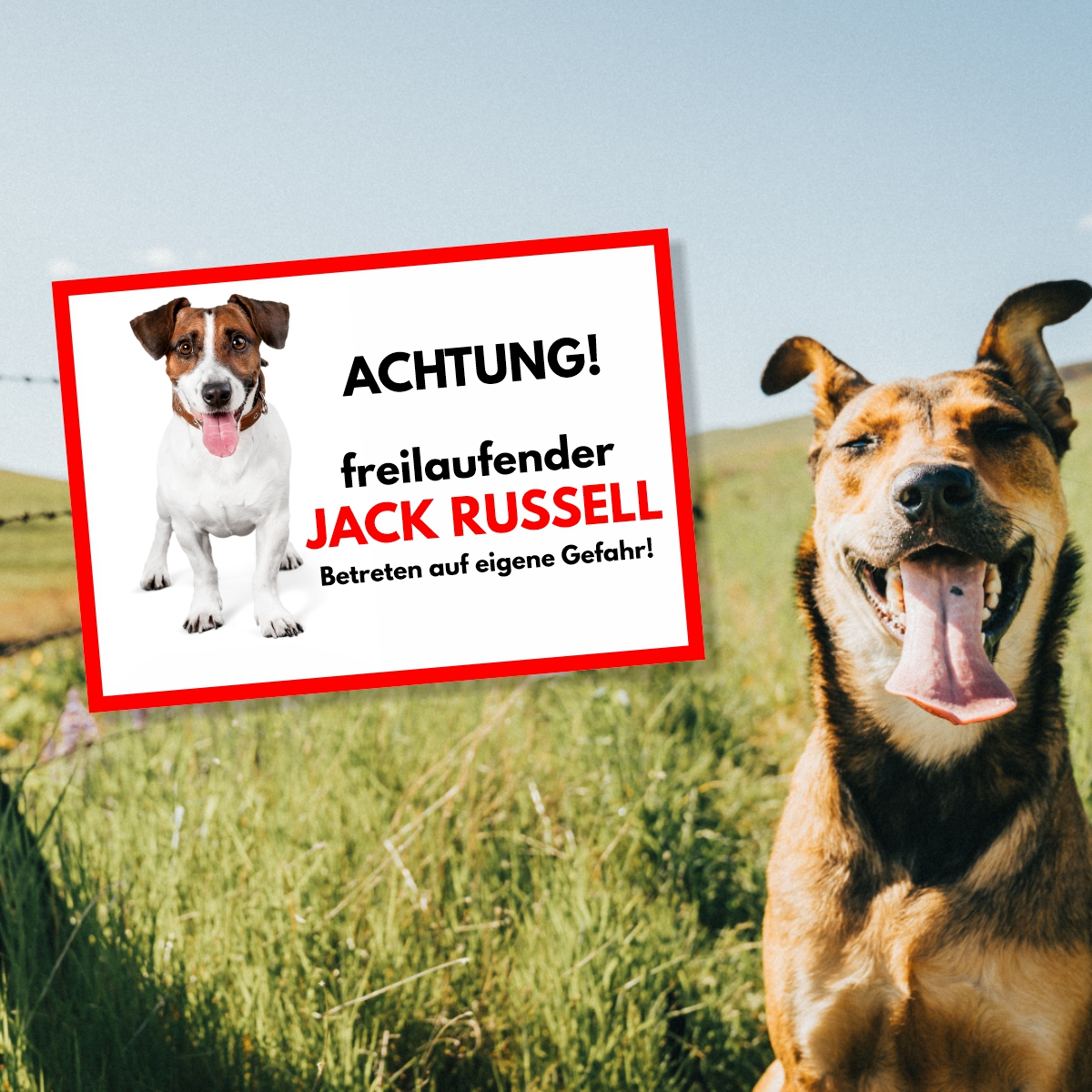 Jack Russell Freilaufender Hund Dog Schild Spruch Türschild Hundeschild Warnschild